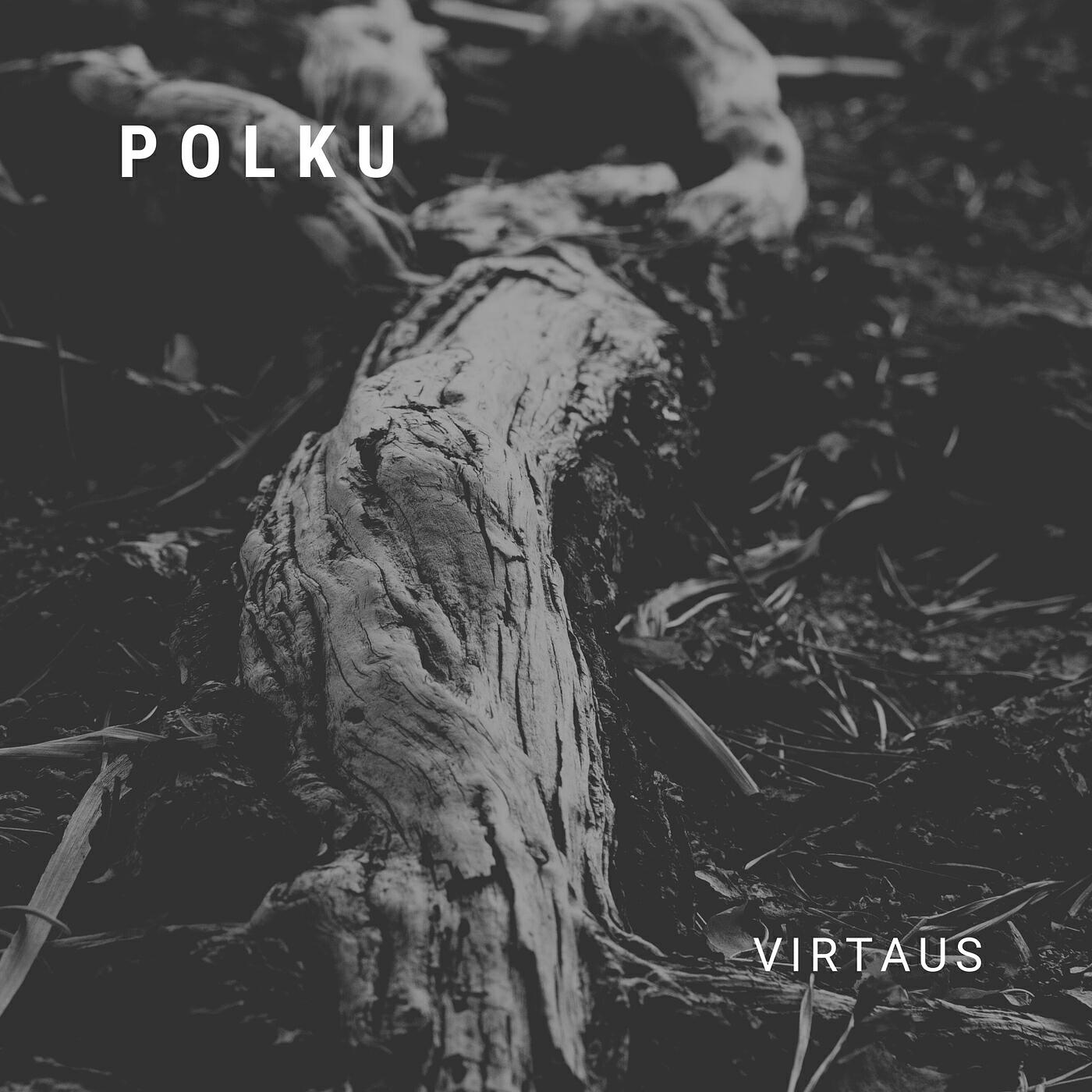 Релиз Virtaus