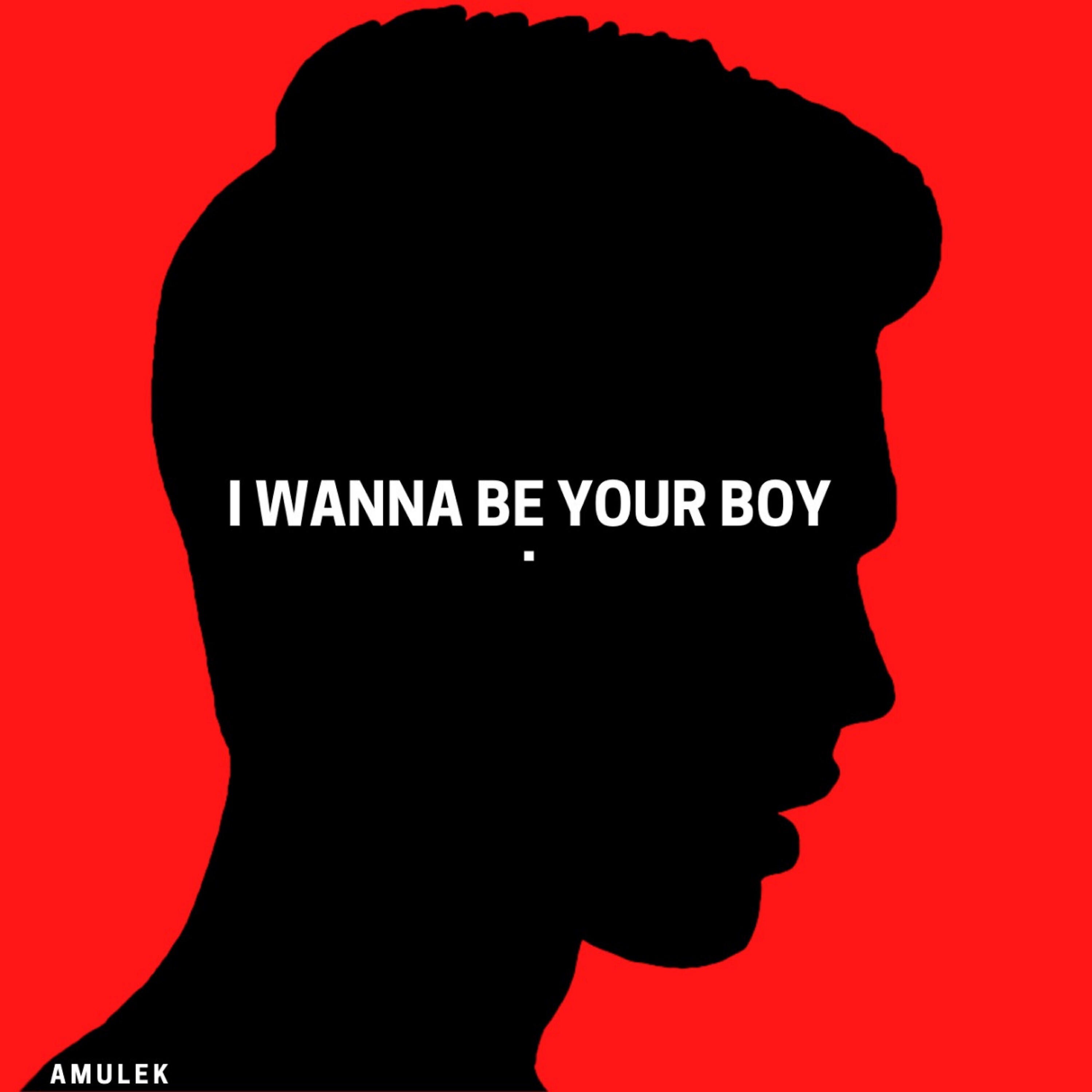 Релиз I Wanna Be Your Boy