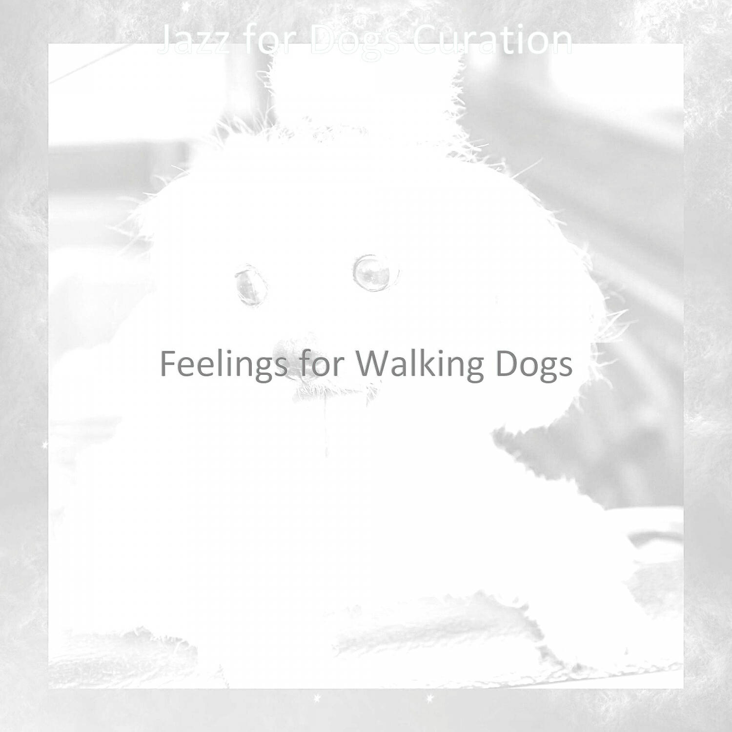 Релиз Feelings for Walking Dogs