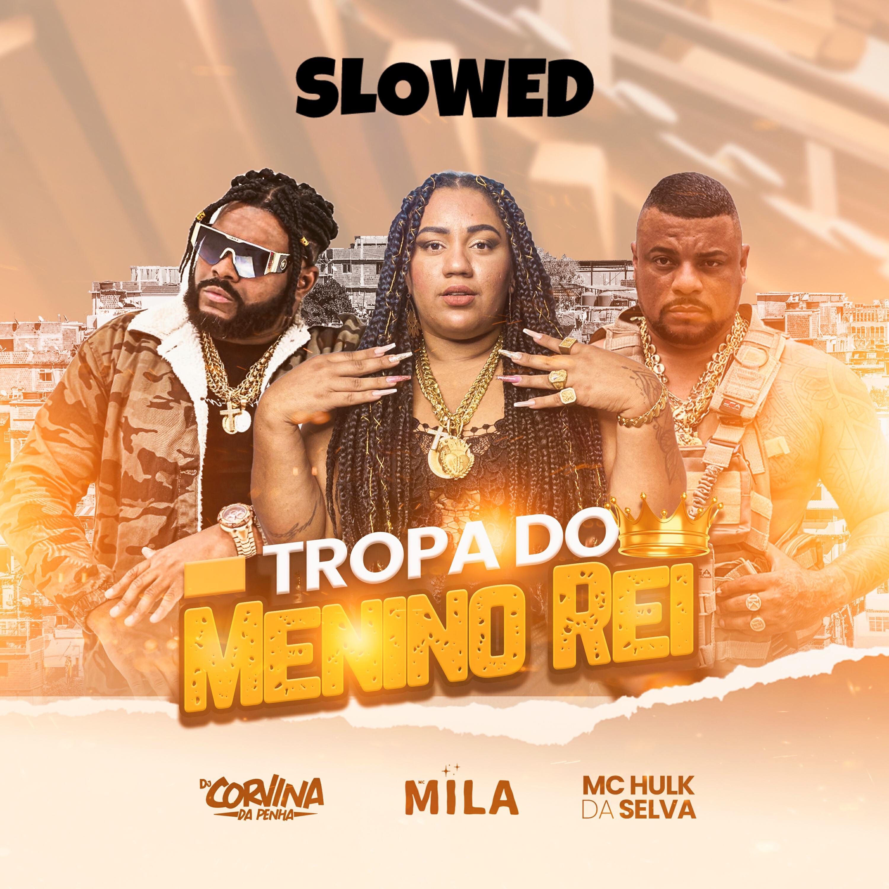 Релиз Tropa do Menino Rei Slowed