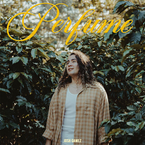 Релиз Perfume