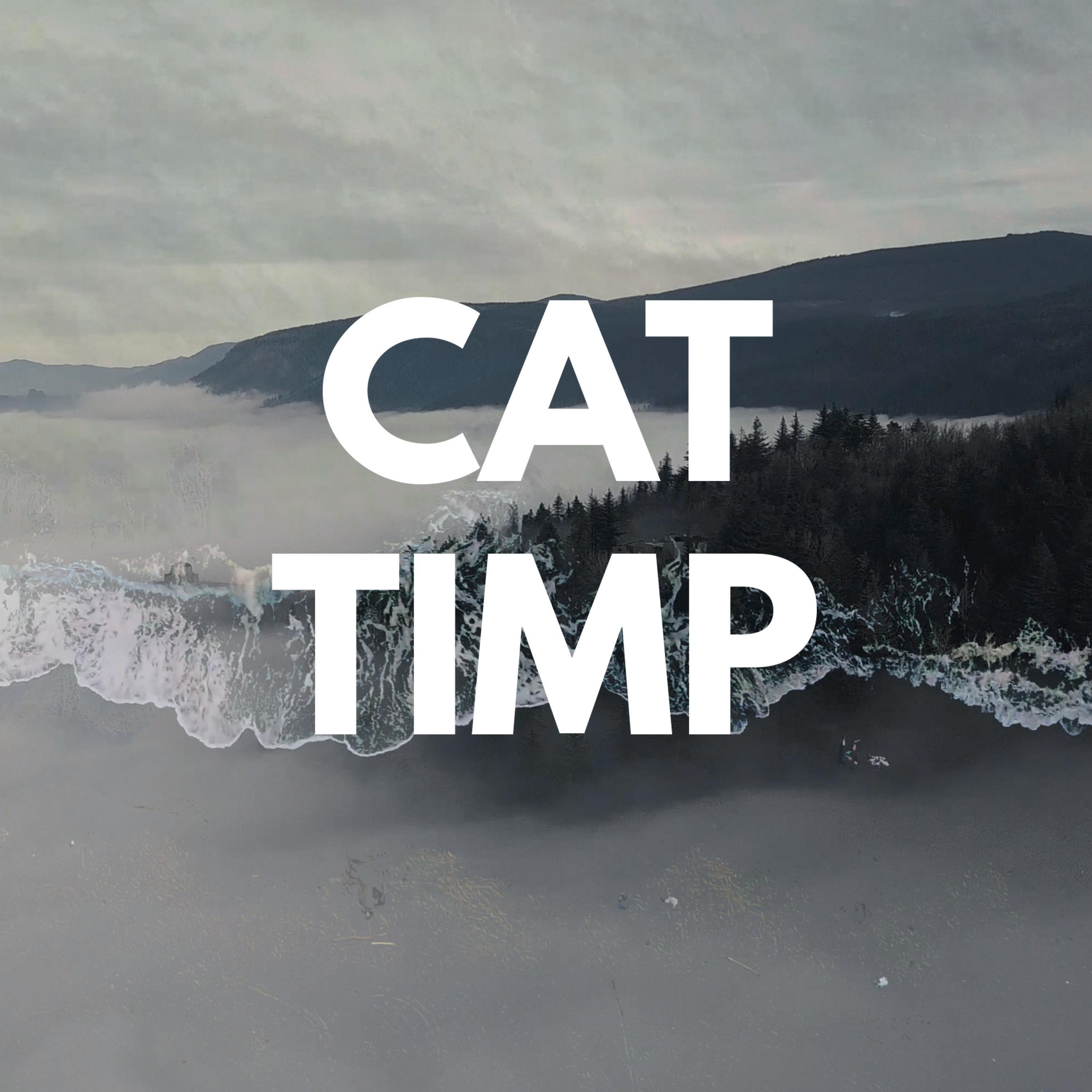Релиз Cat Timp