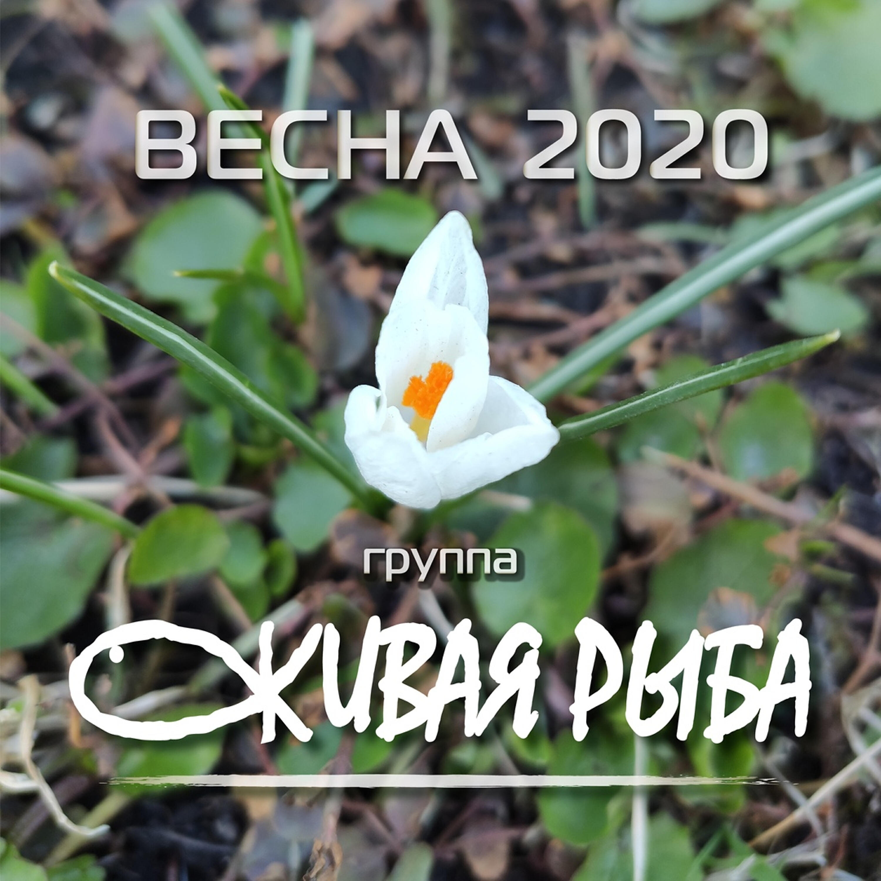 Релиз Весна 2020