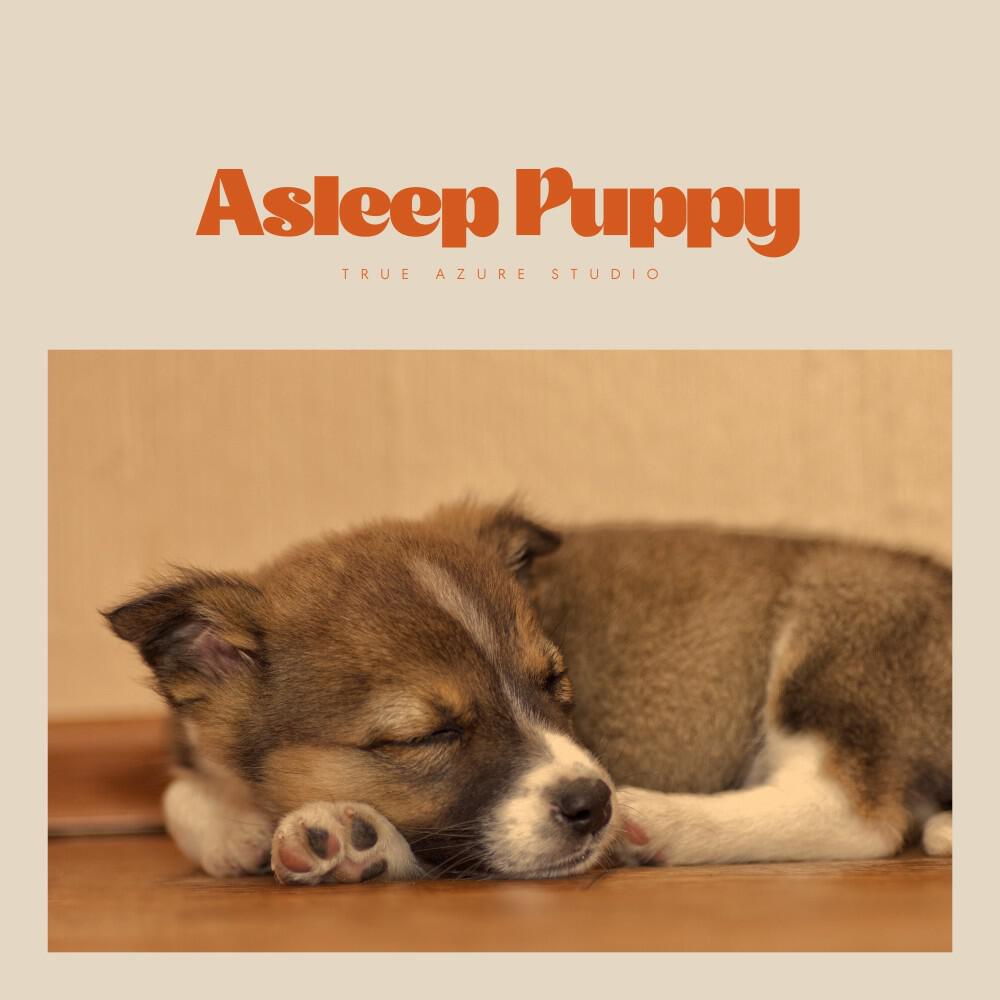 Релиз Asleep Puppy