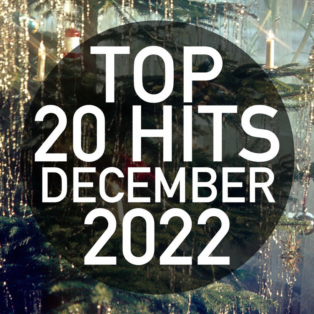 Релиз Top 20 Hits December 2022 (Instrumental)