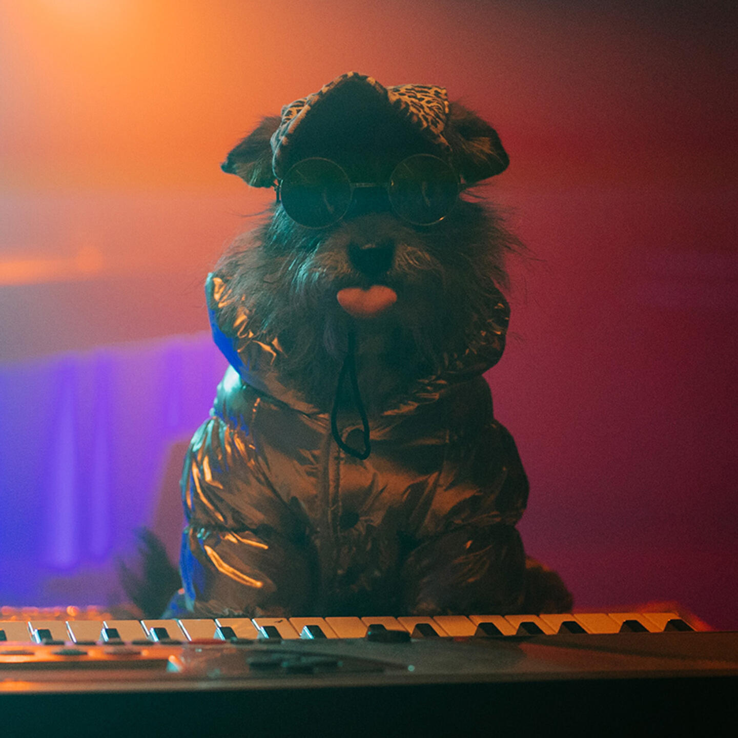 Постер альбома Disco Club