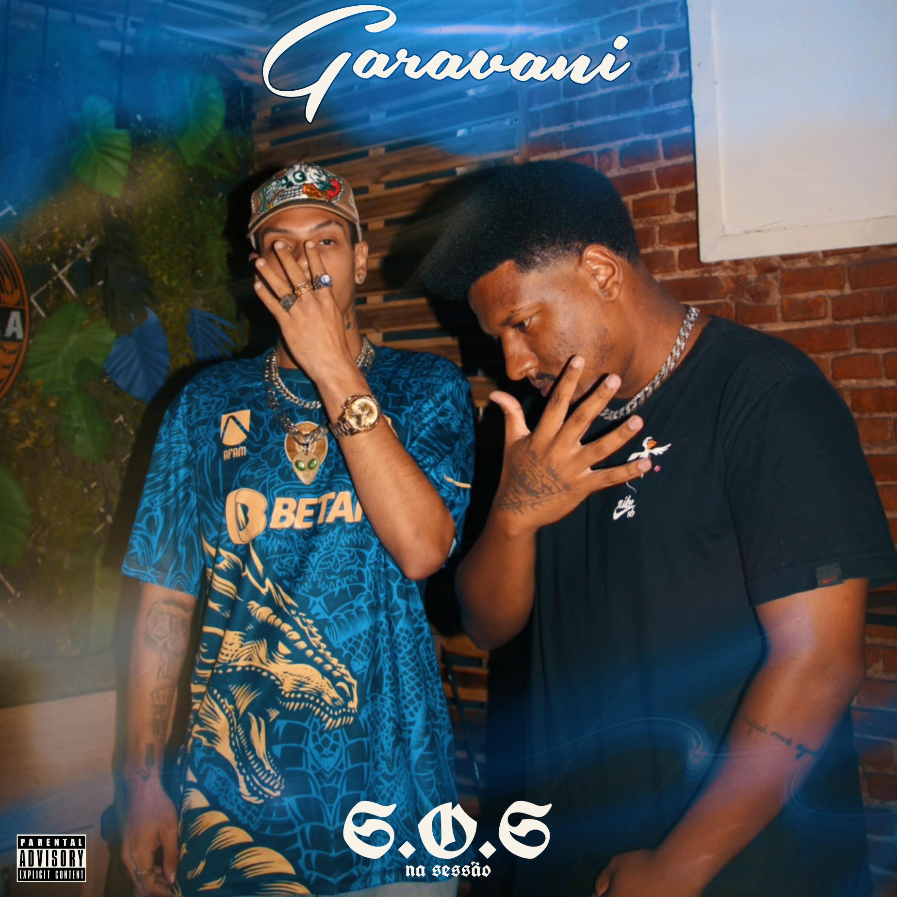 Релиз Garavani