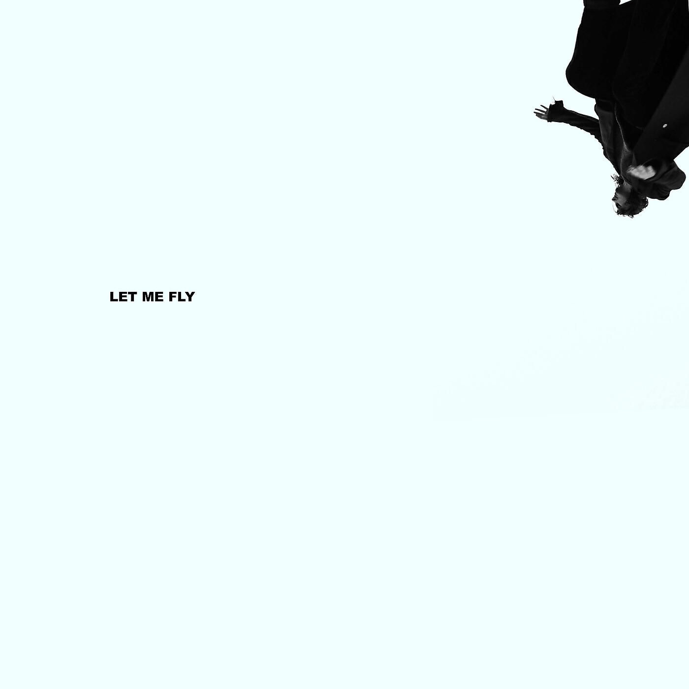 Релиз Let Me Fly