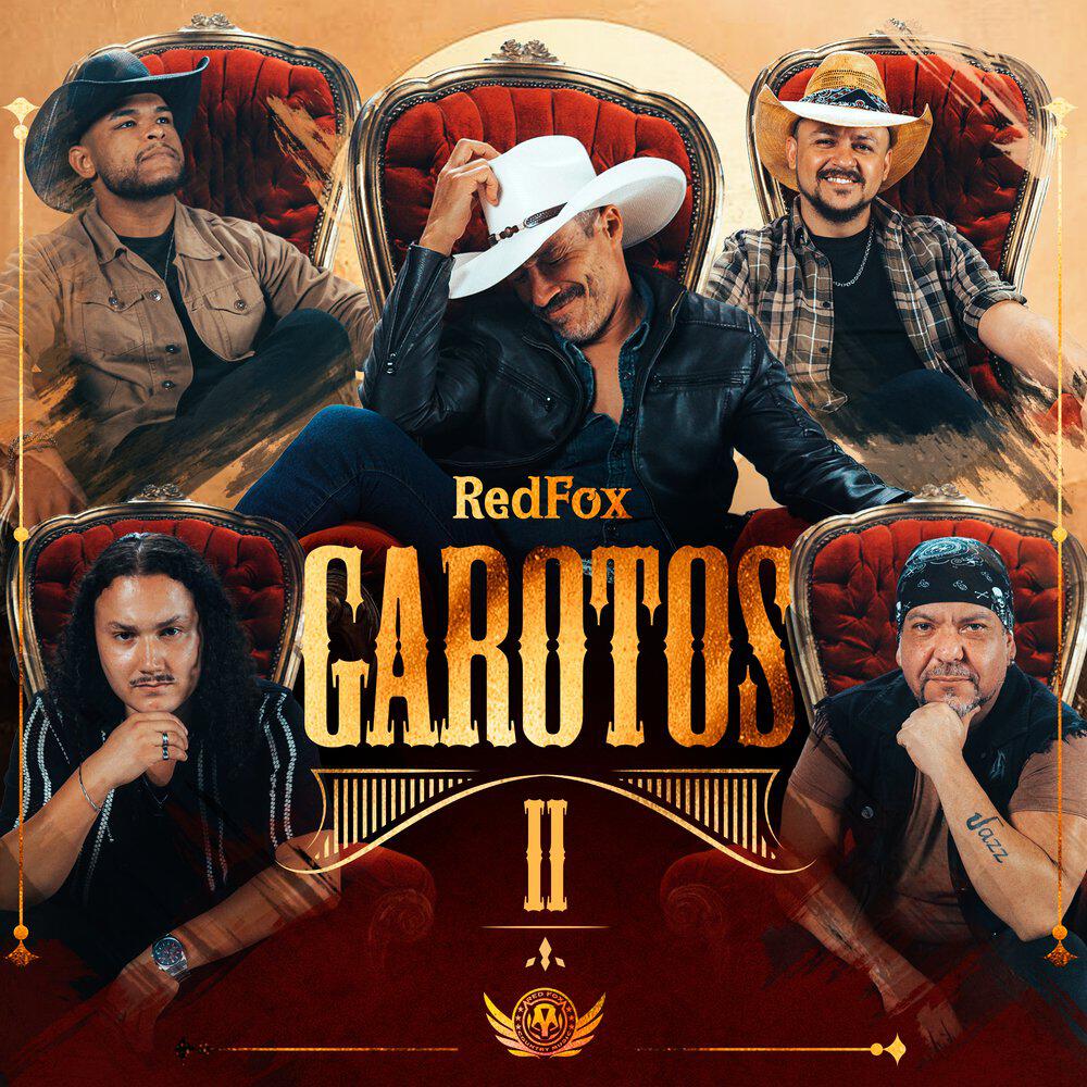 Релиз Garotos II