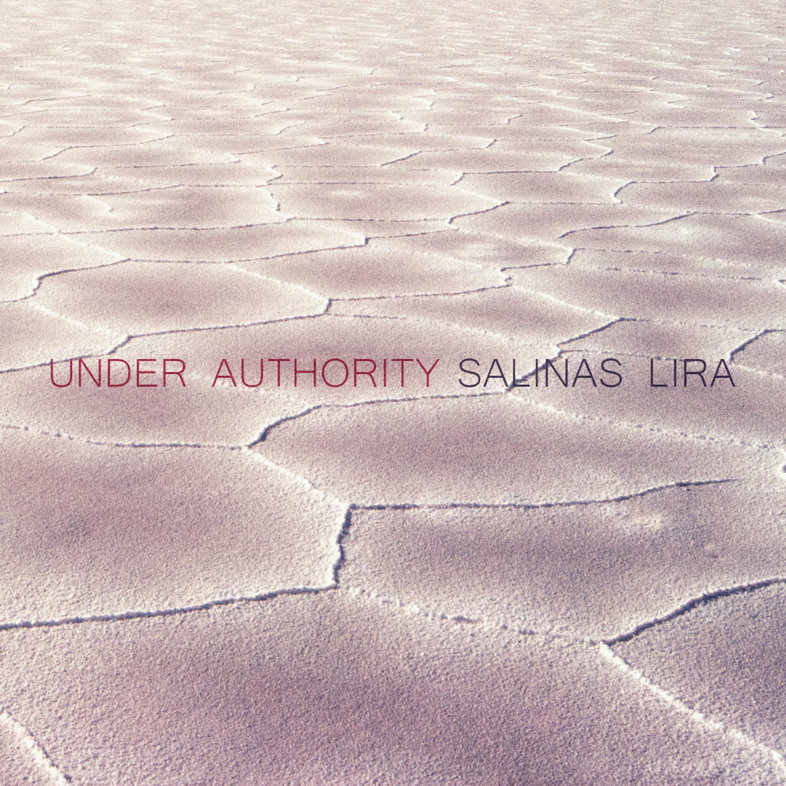 Salinas Lira