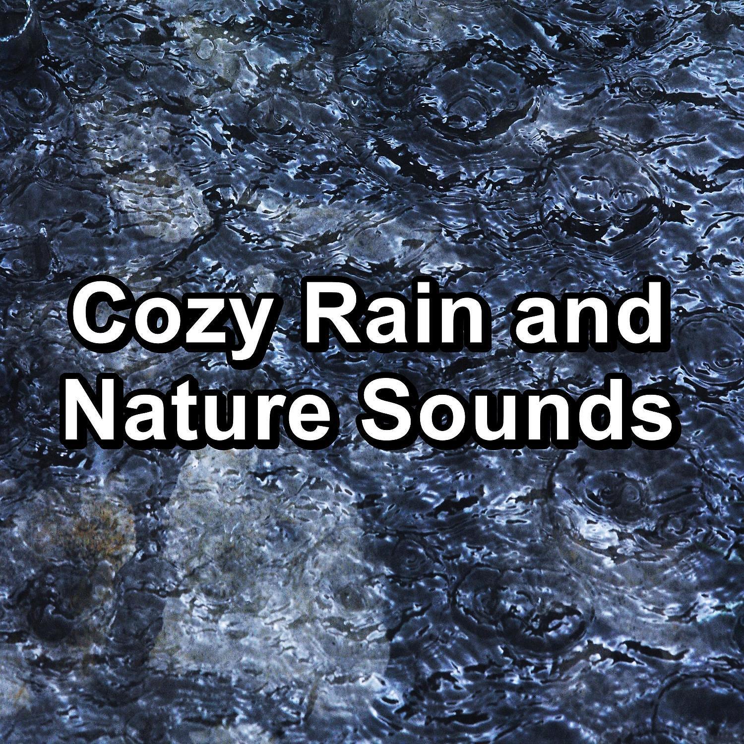 Постер альбома Cozy Rain and Nature Sounds