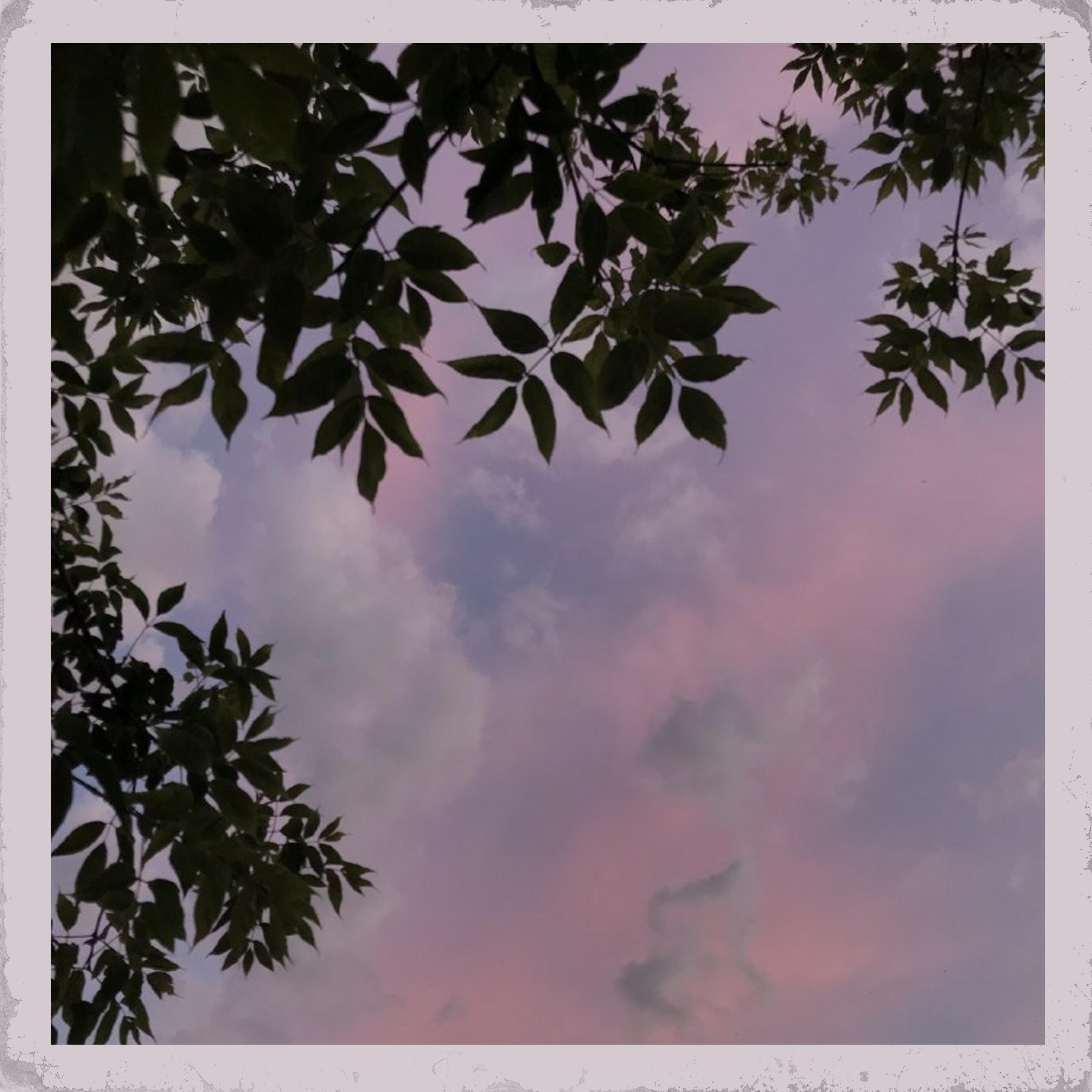 Релиз Когда я попал домой