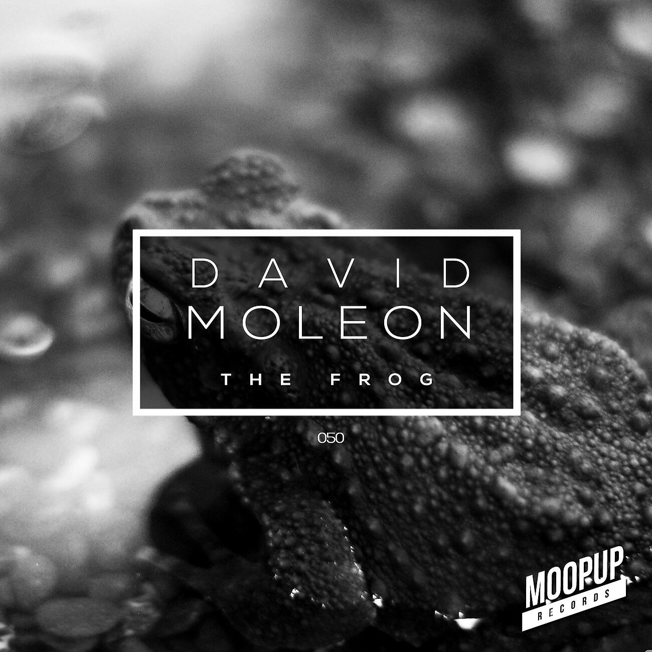 Скачать песню David Moleon - The Frog бесплатно в MP3 для Android и iOS