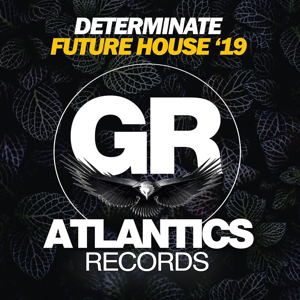 Релиз Determinate Future House '19