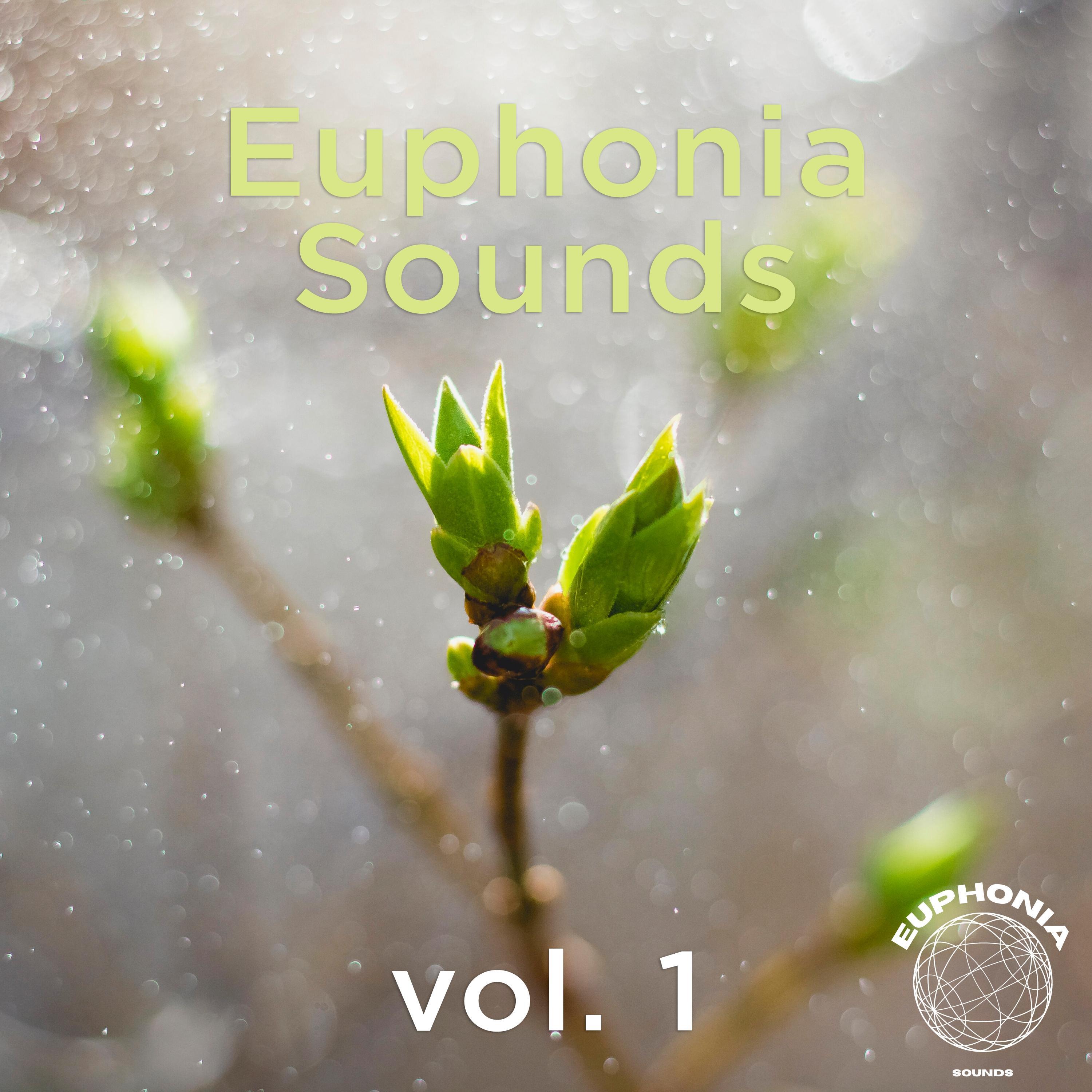 Релиз Euphonia Sounds, Vol. 1