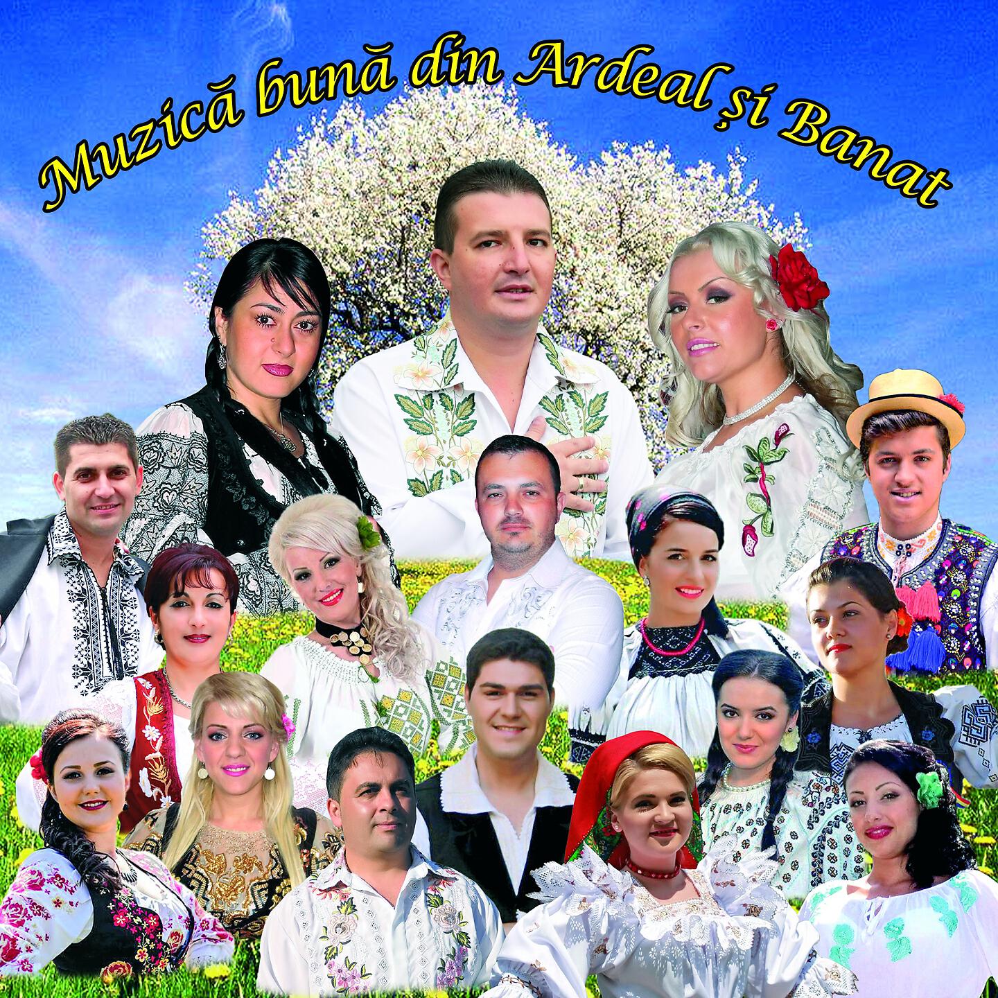 Релиз Muzică Bună Din Ardeal Și Banat