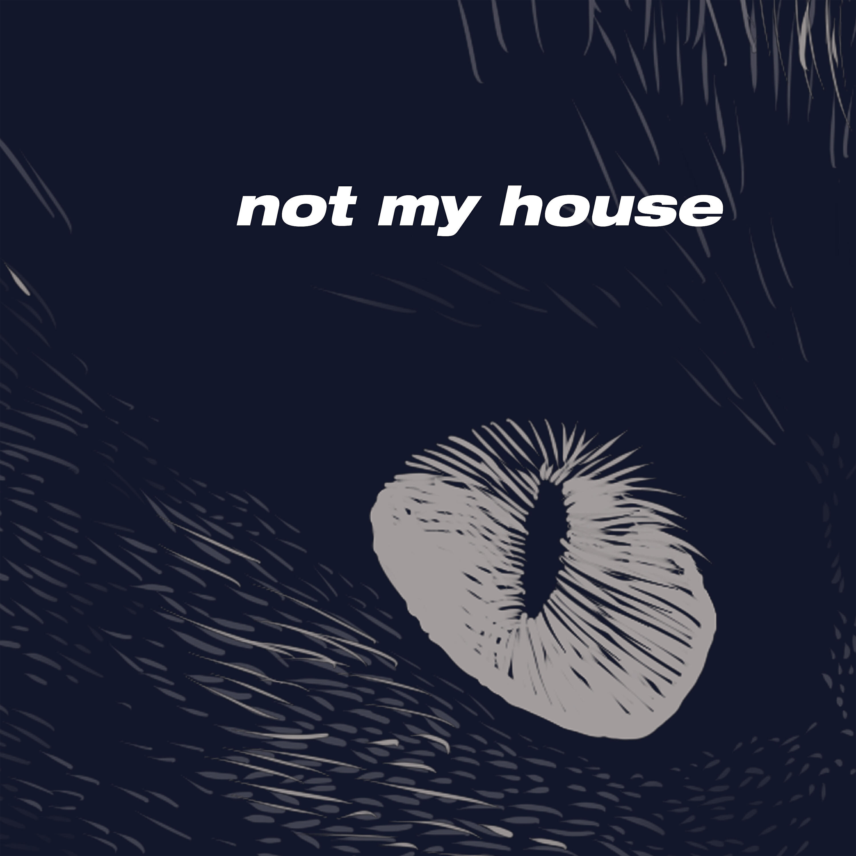 LV, Joshua Idehen - Not My House