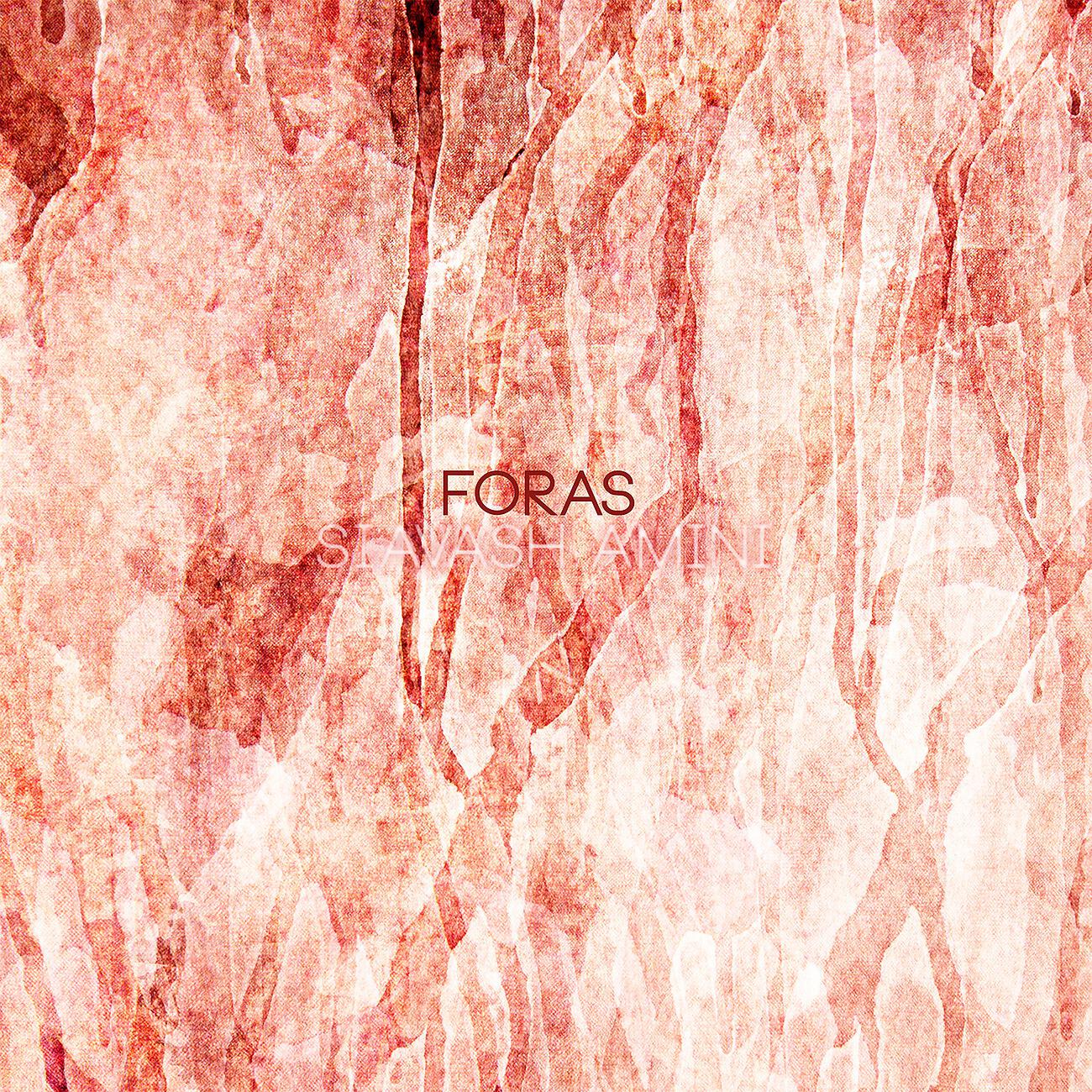 Релиз FORAS