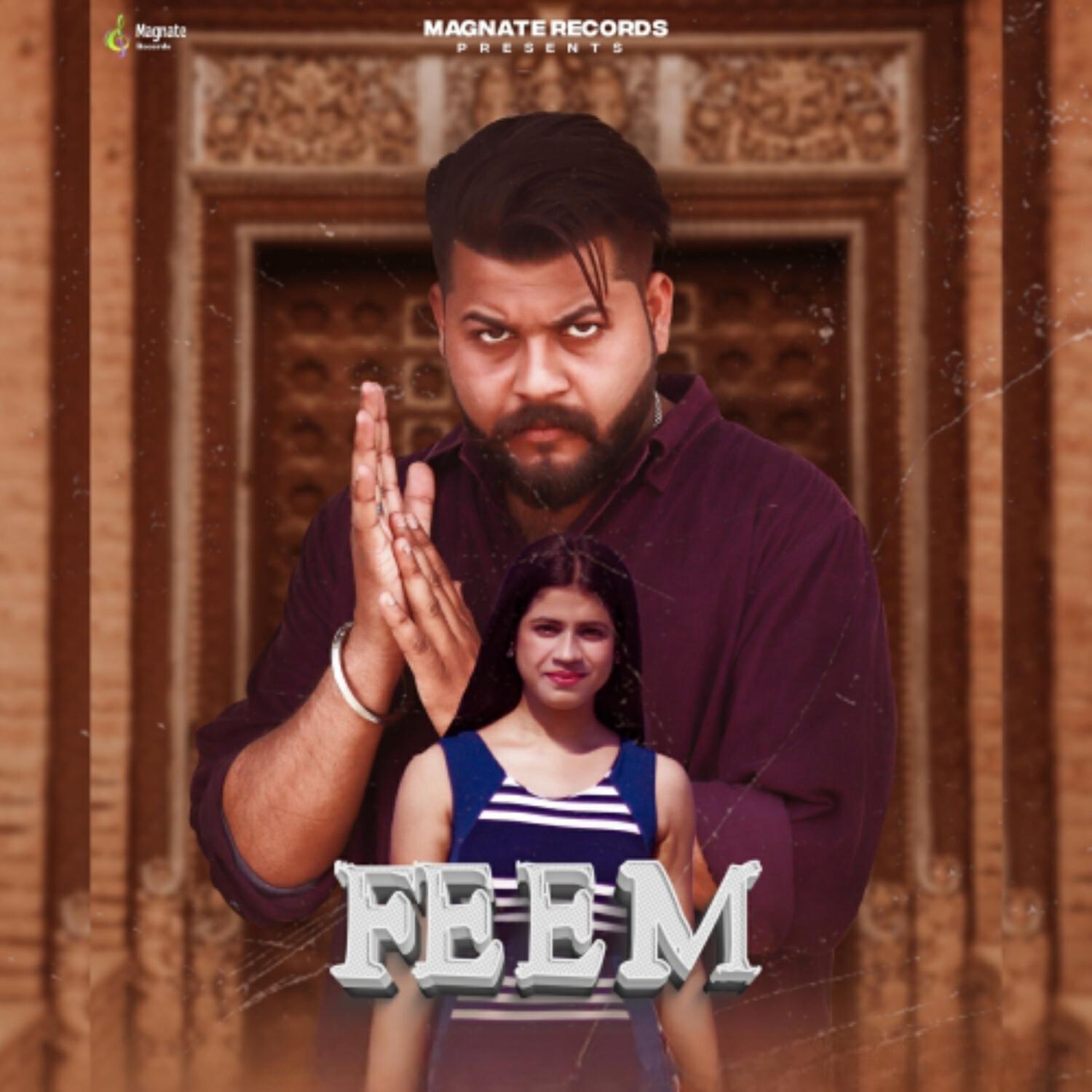 Релиз Feem