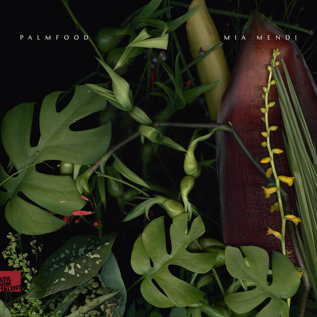 Релиз PALMFooD / Mia Mendi