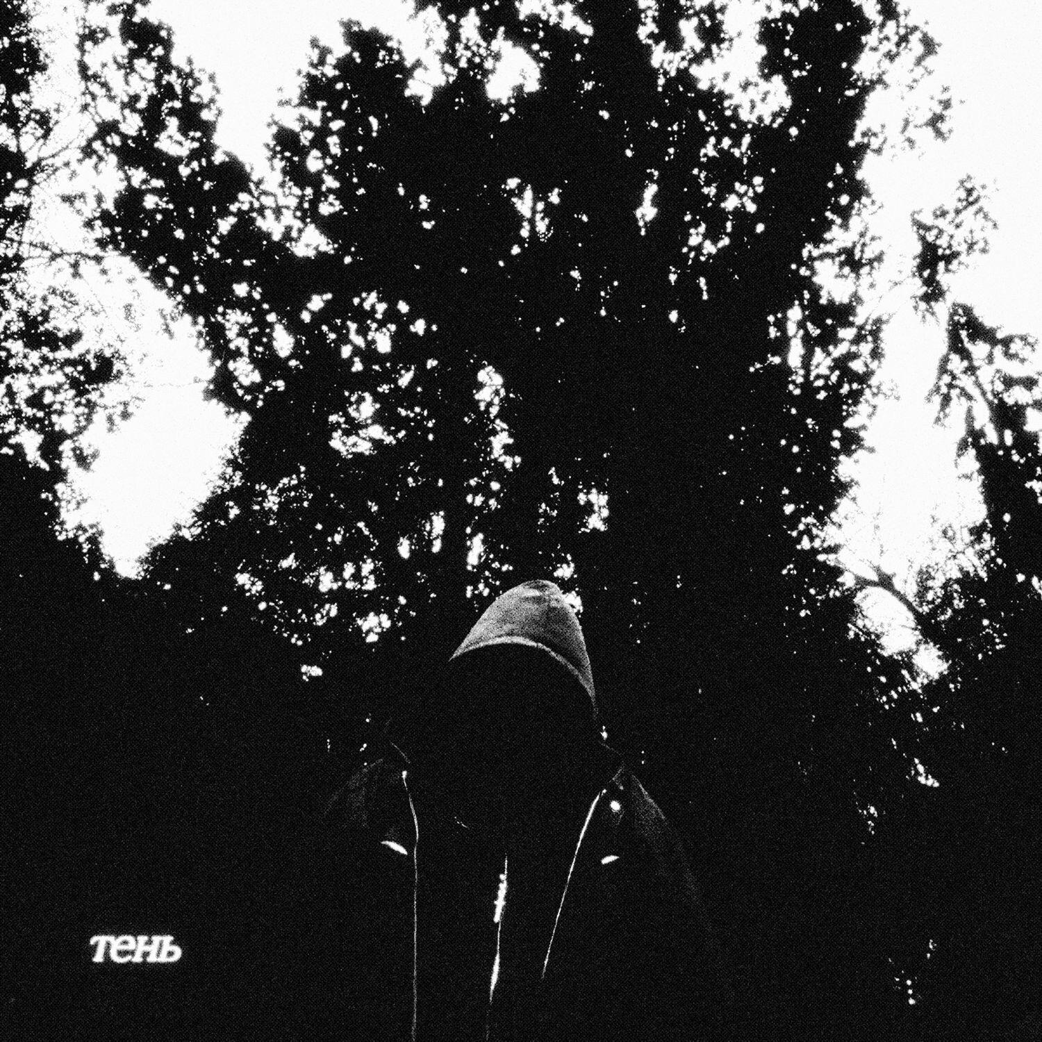 Релиз Тень