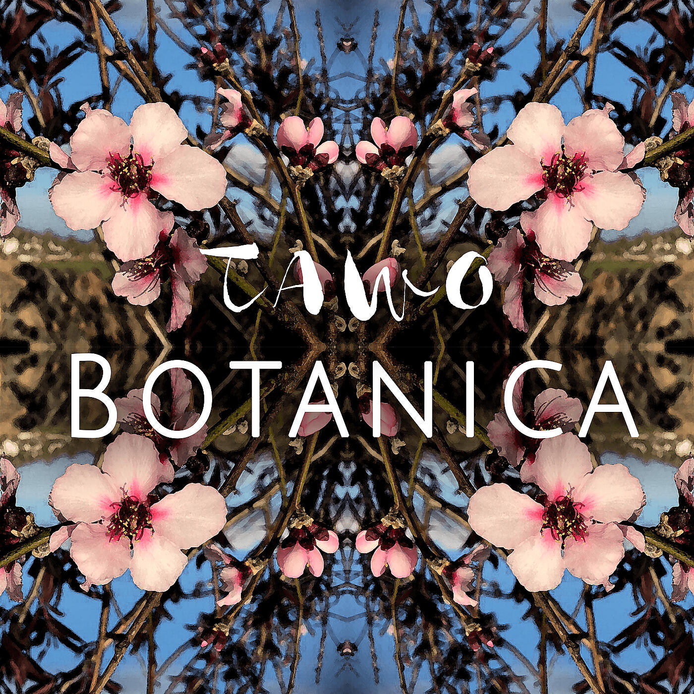 Релиз Botanica