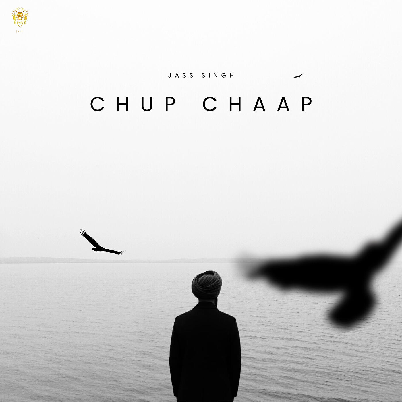 Релиз Chup Chaap