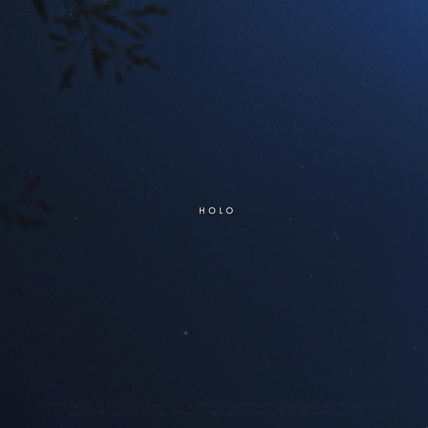 Постер альбома Holo