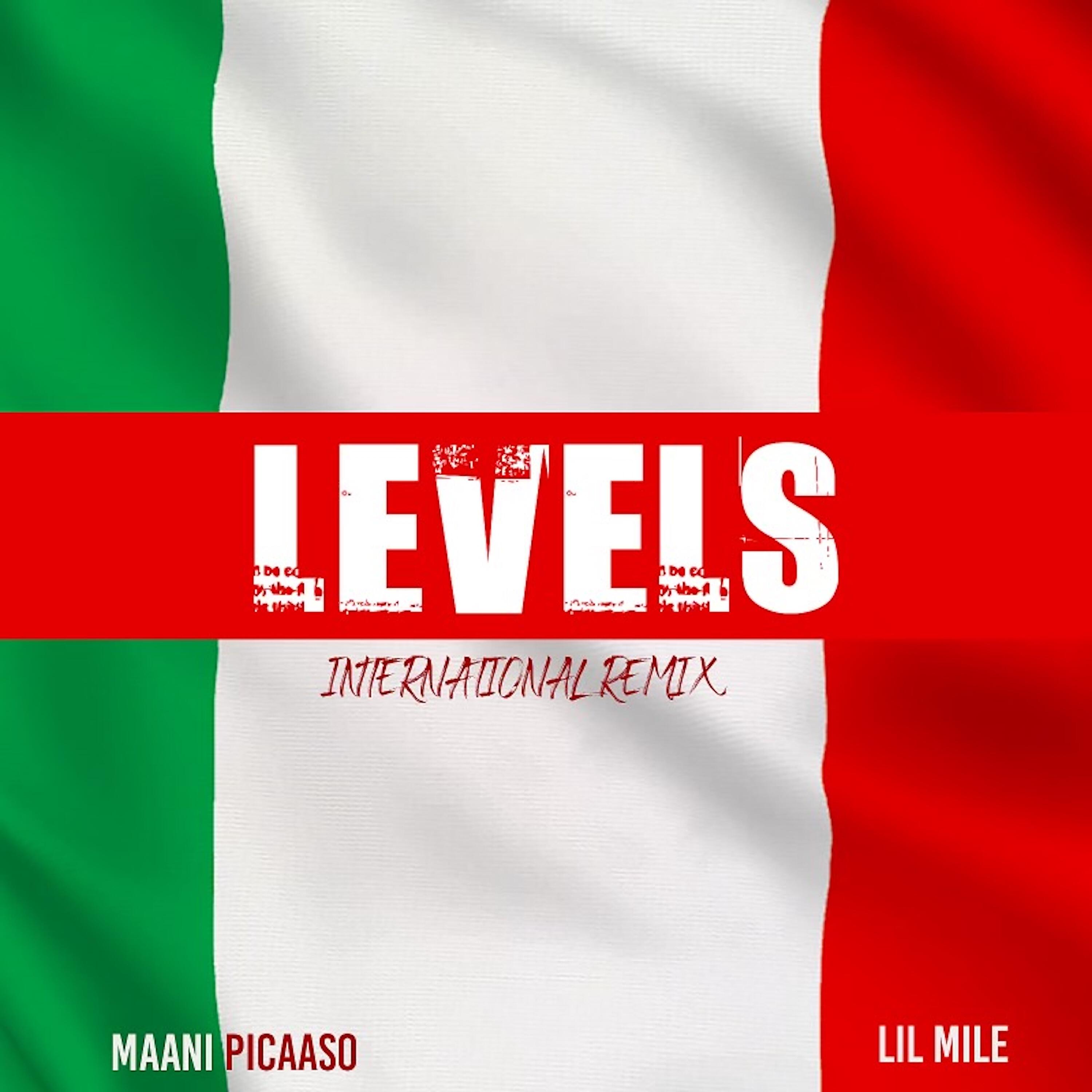 Релиз LEVELS (International Remix)