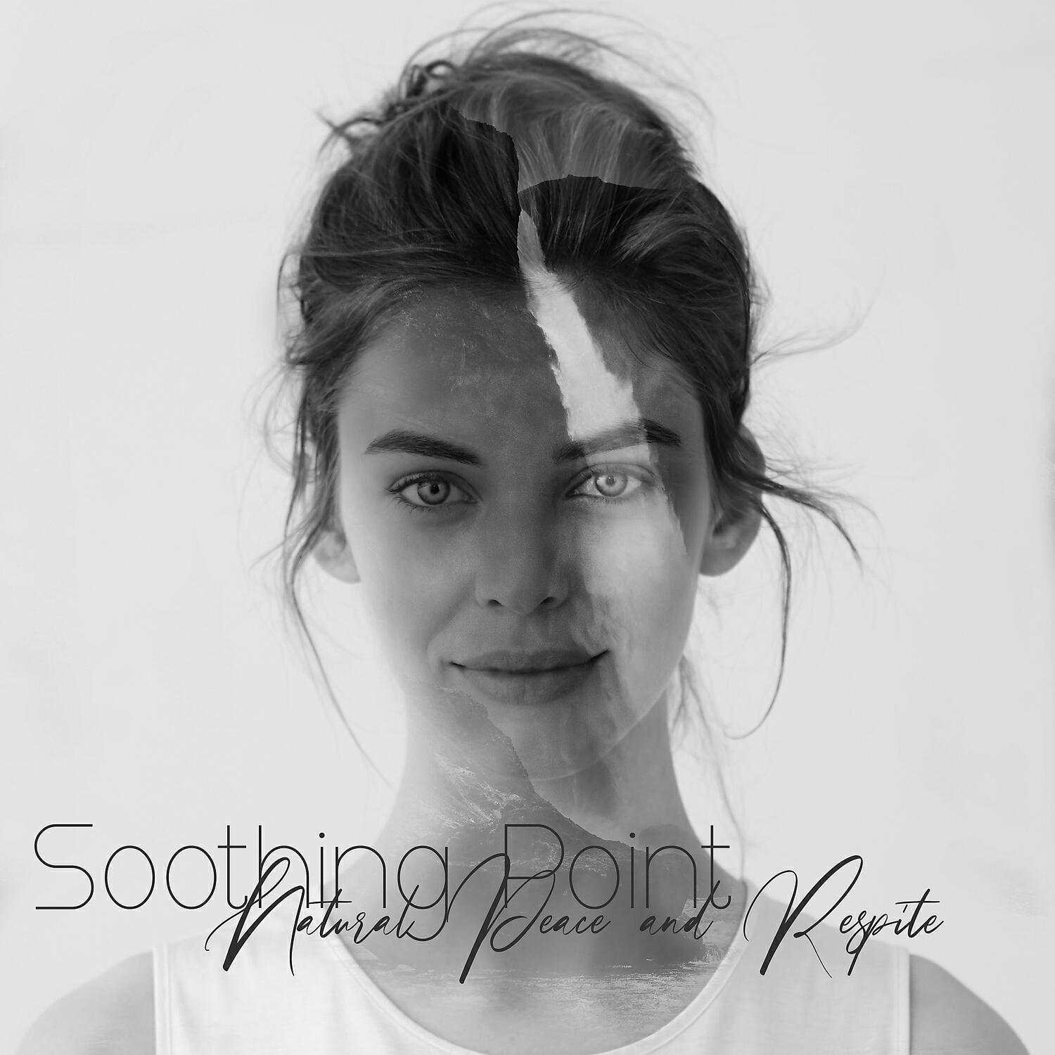 Релиз Soothing Point: Natural Peace and Respite