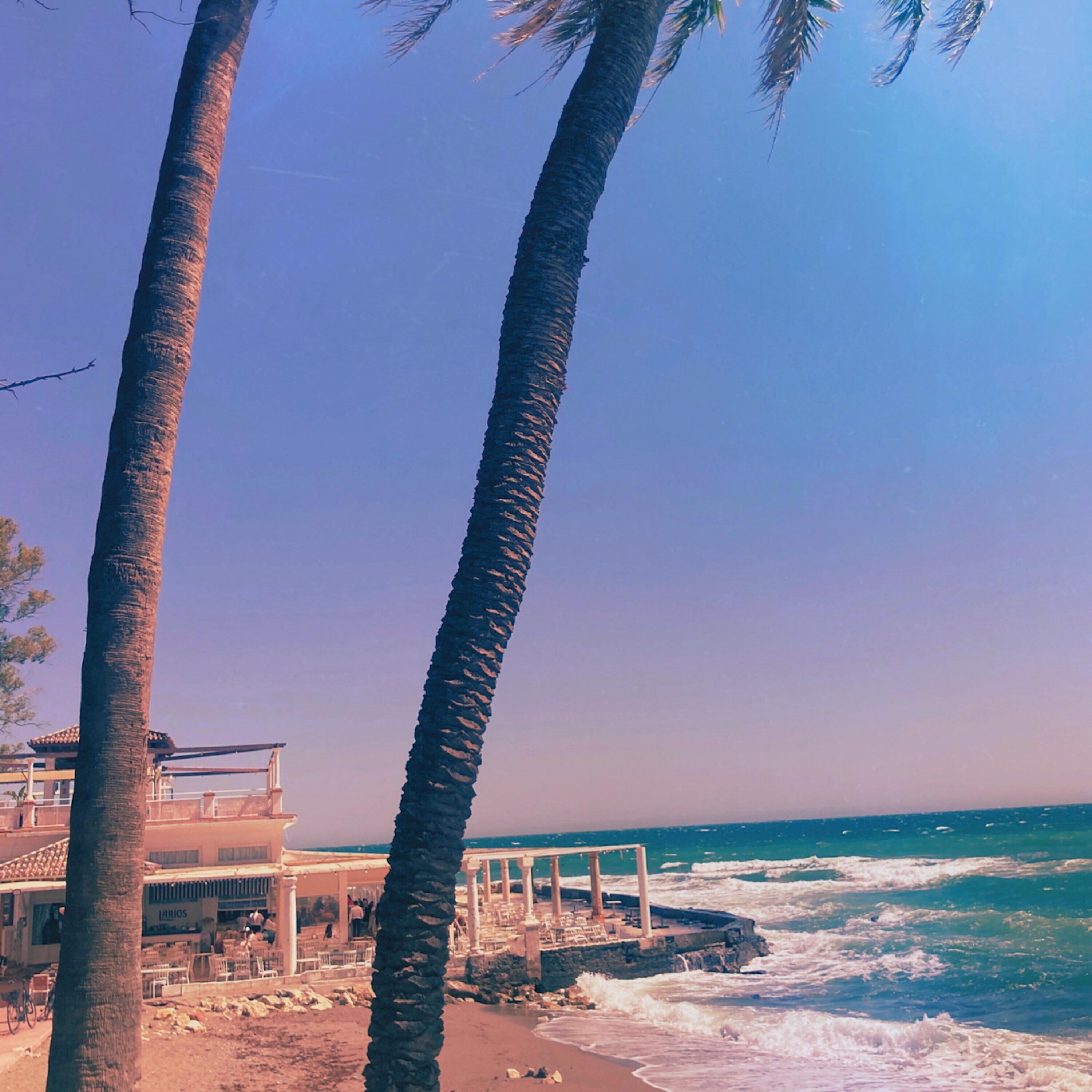 Релиз Wave Lounge