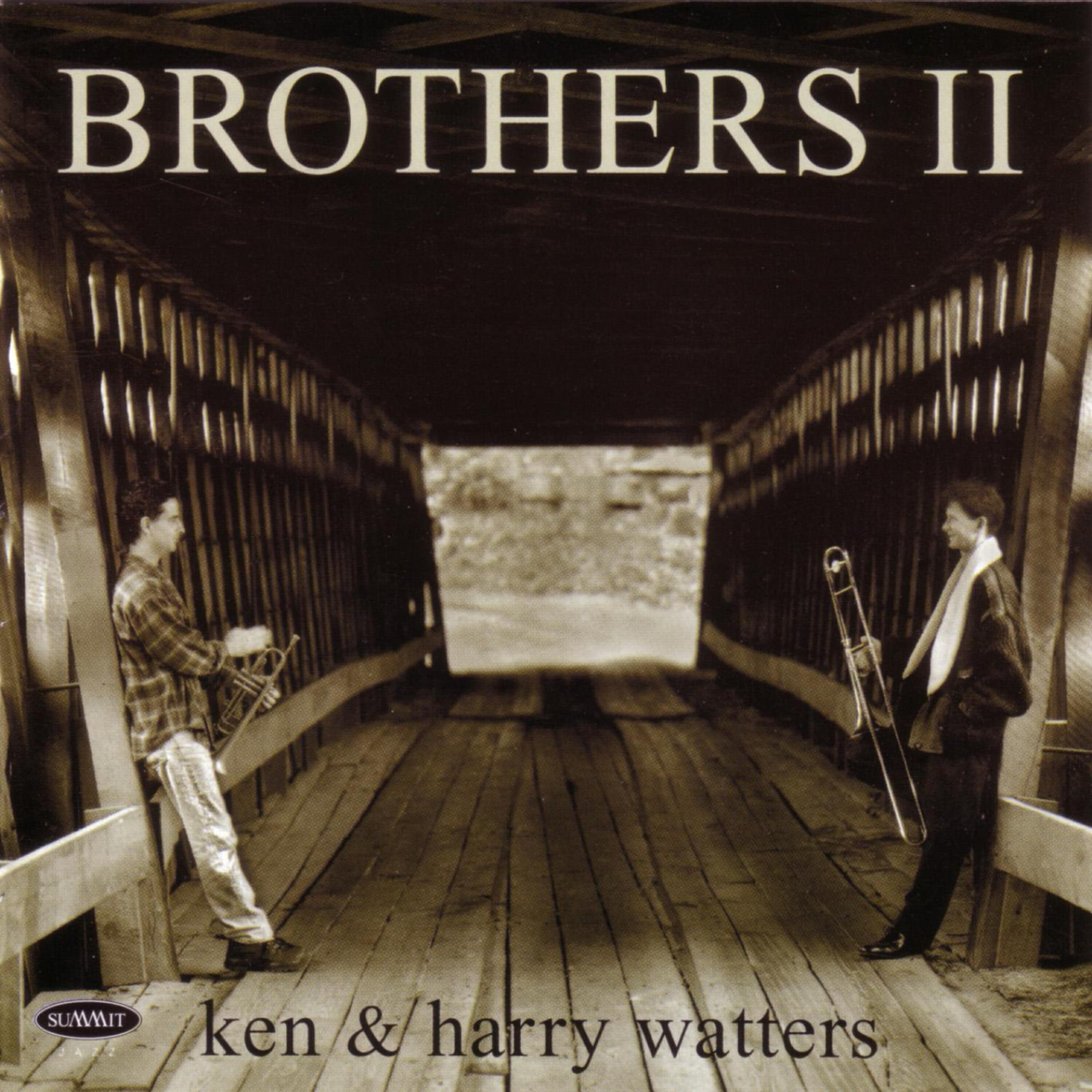 Релиз Brothers II