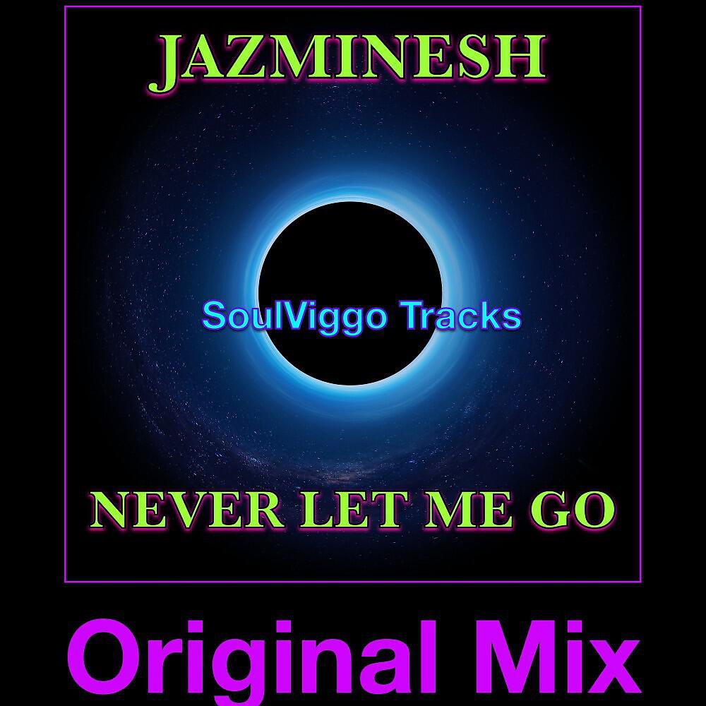 Релиз Never Let Me Go (Original Mix)