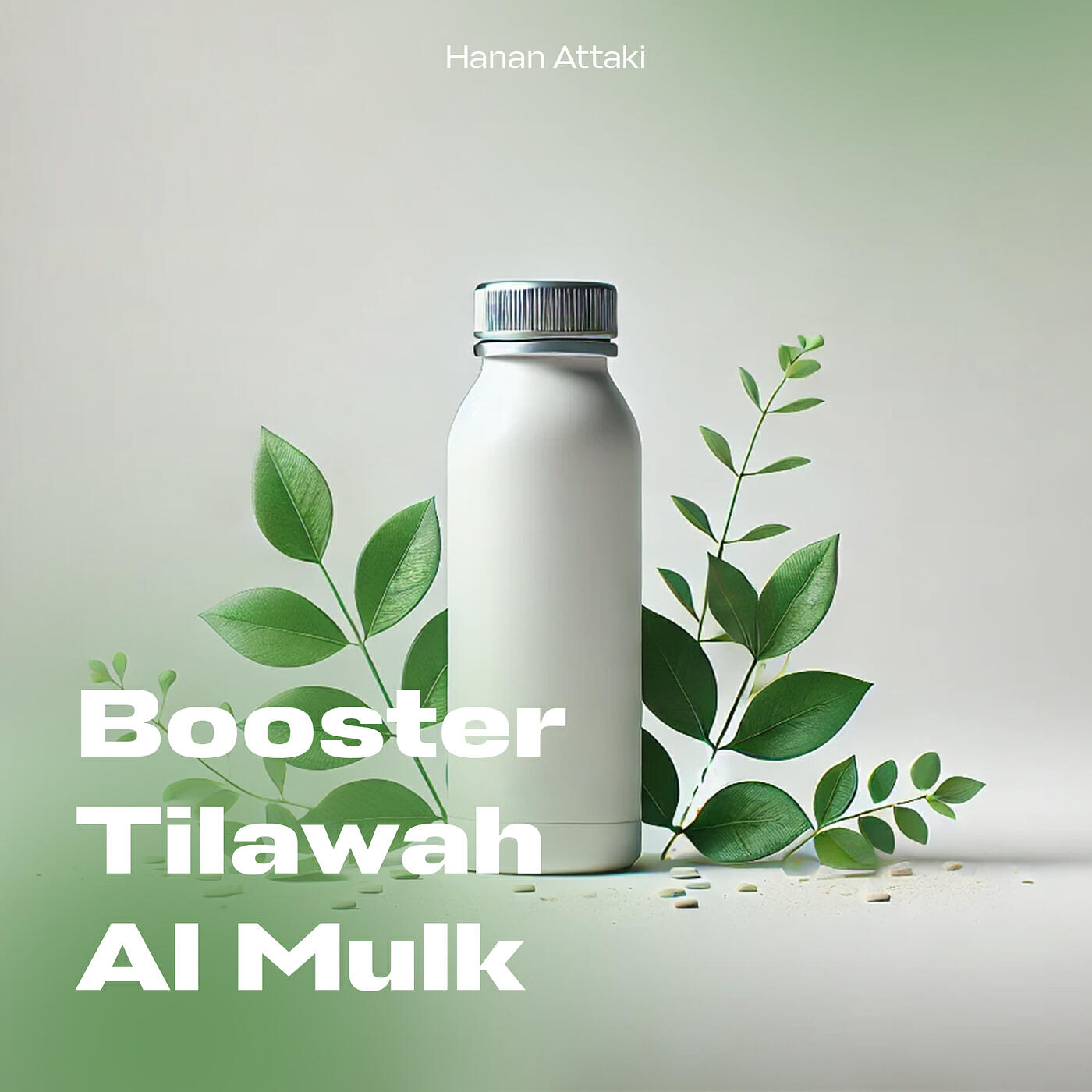 Постер альбома Booster Tilawah Al Mulk