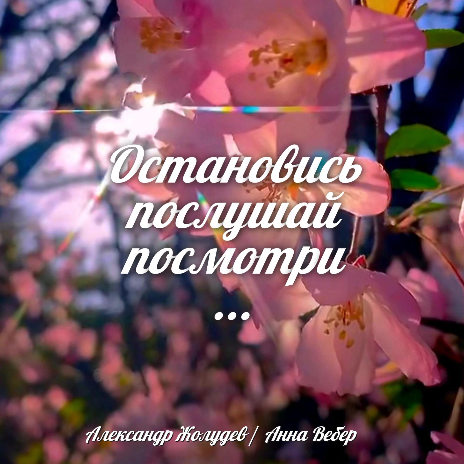 Релиз Остановись, послушай, посмотри