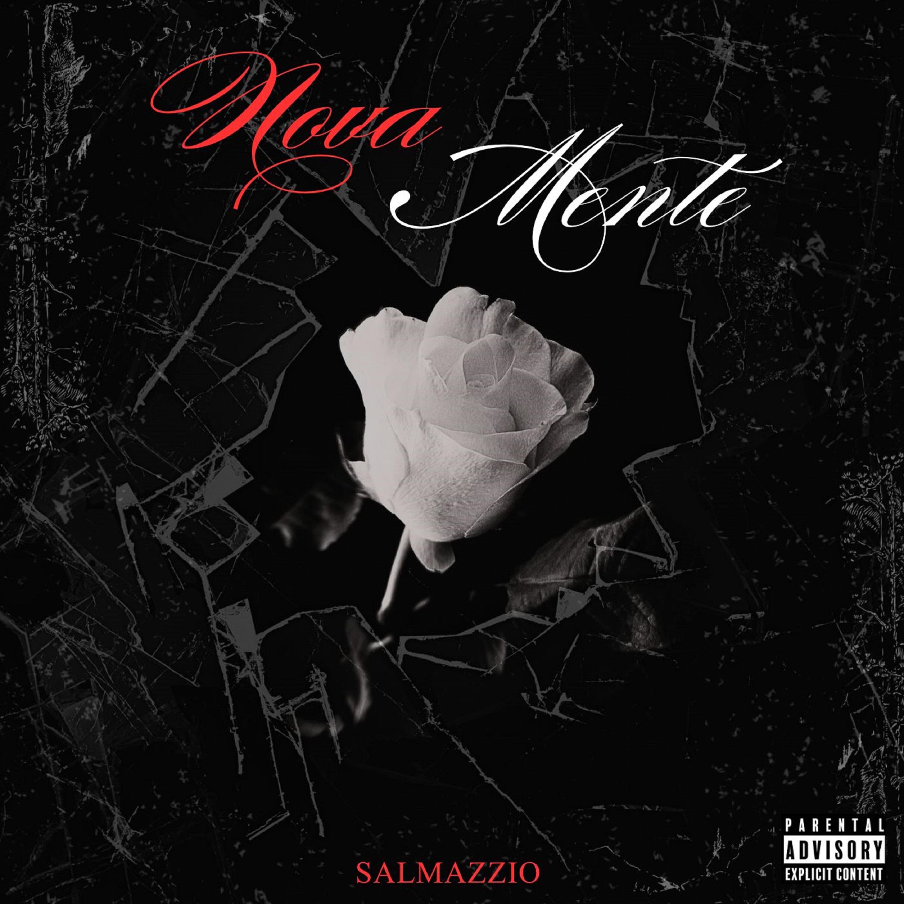 Релиз Novamente