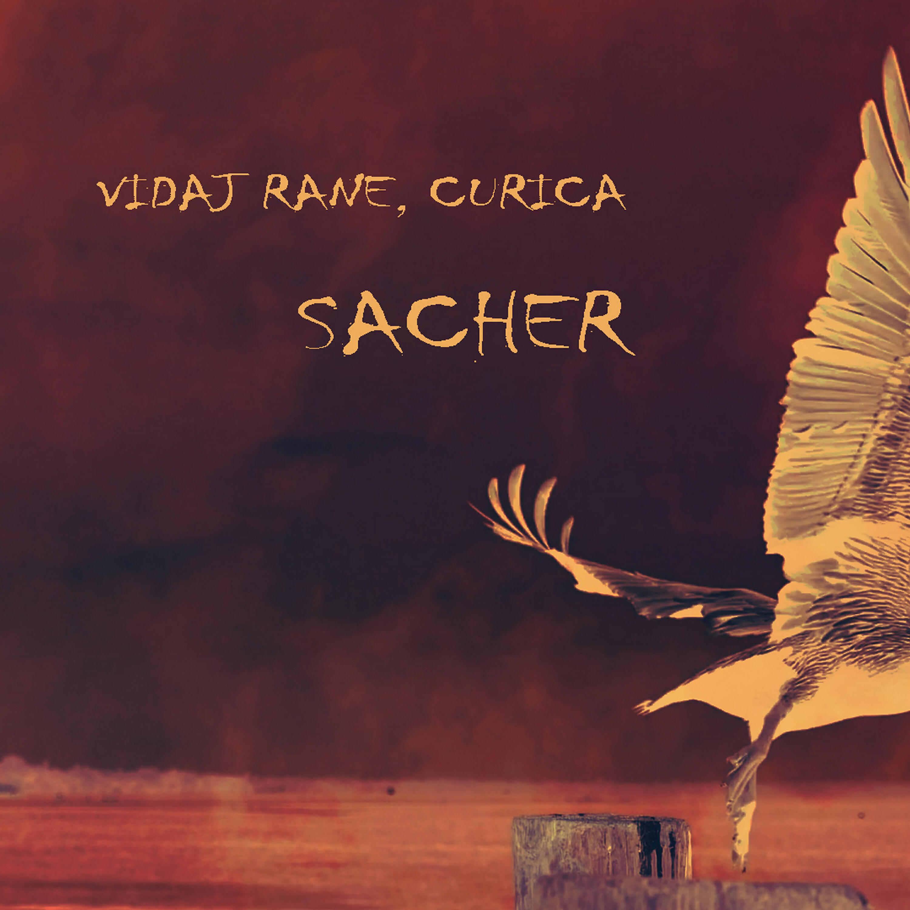 Релиз Vidaj rane curica