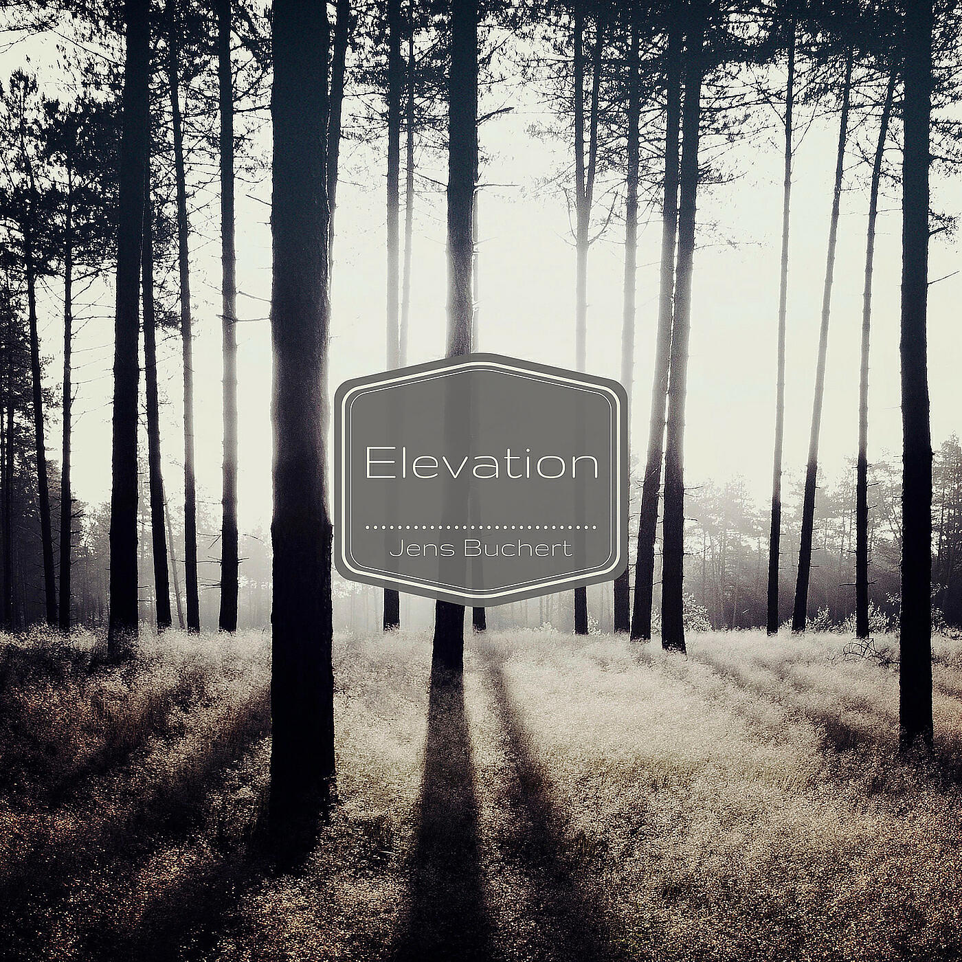Релиз Elevation