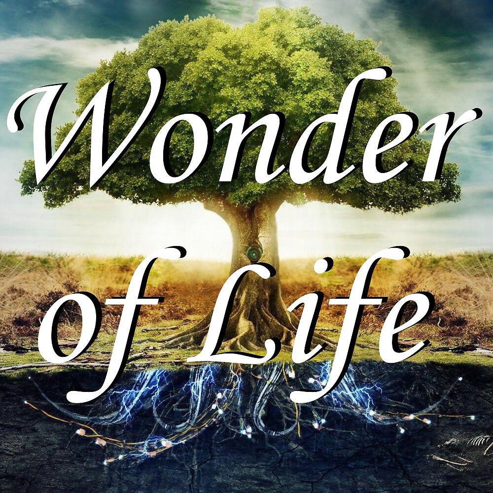 Релиз Wonder of Life