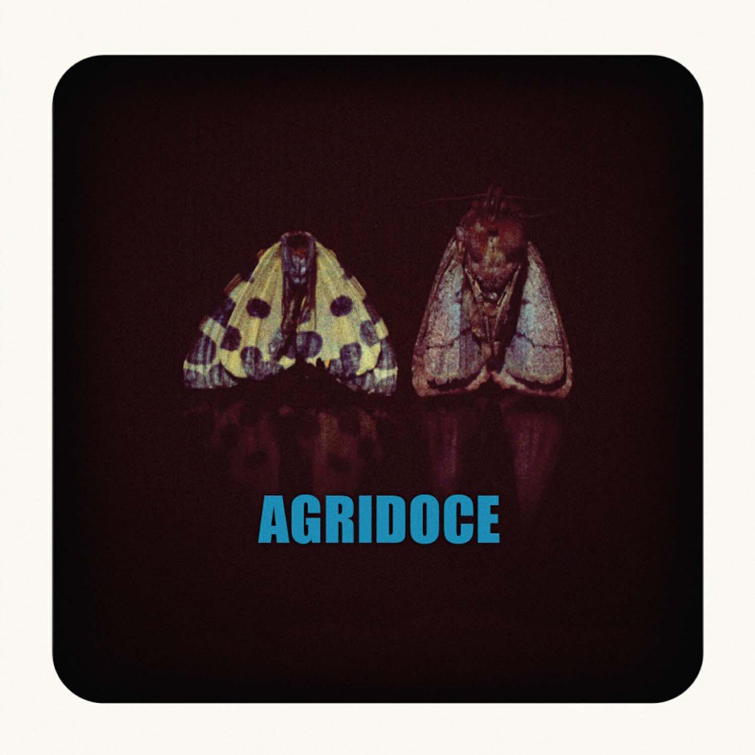 Релиз Agridoce