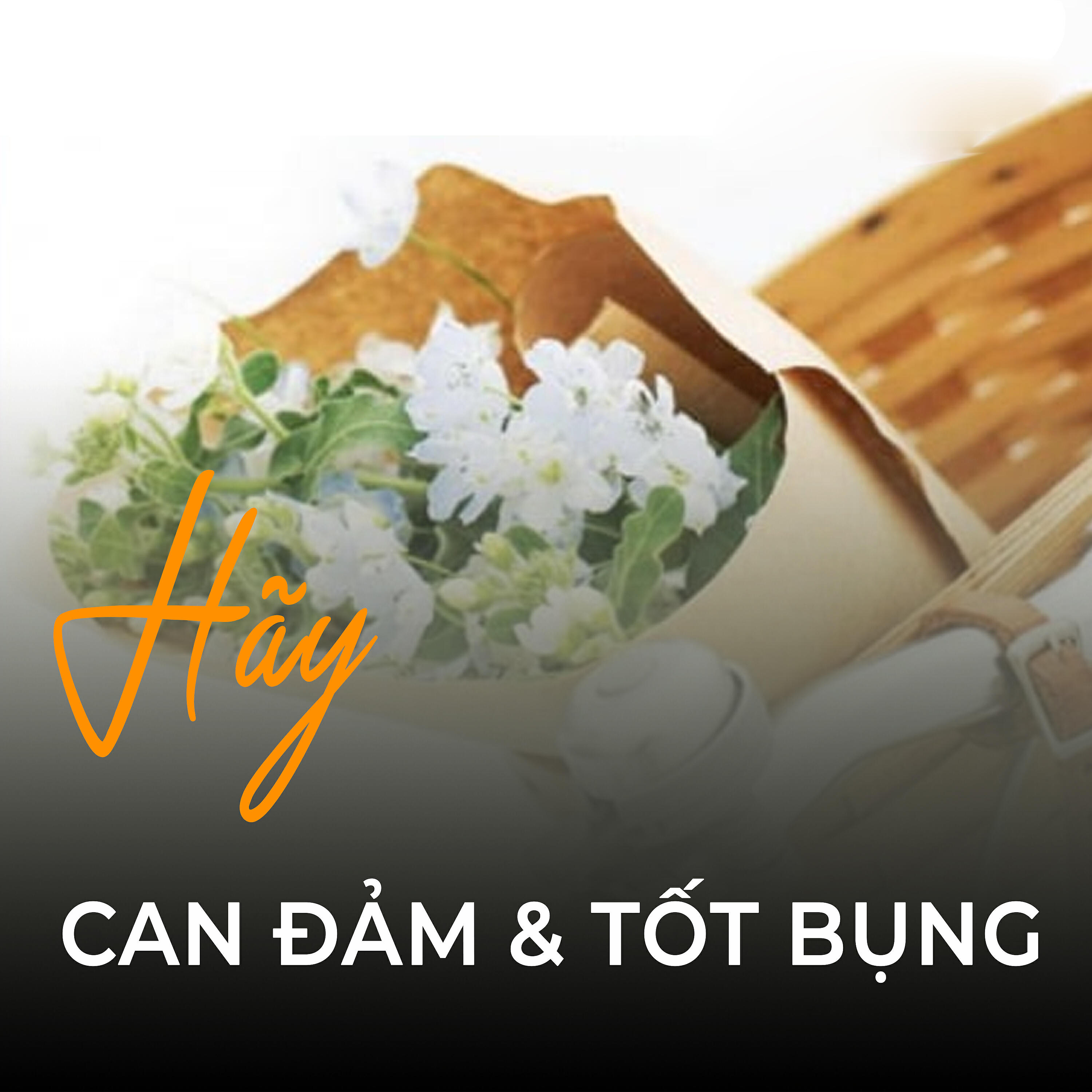 Релиз Hãy can đảm và tốt bụng