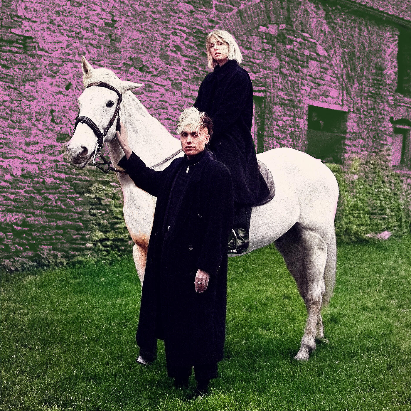 Релиз leave a light on