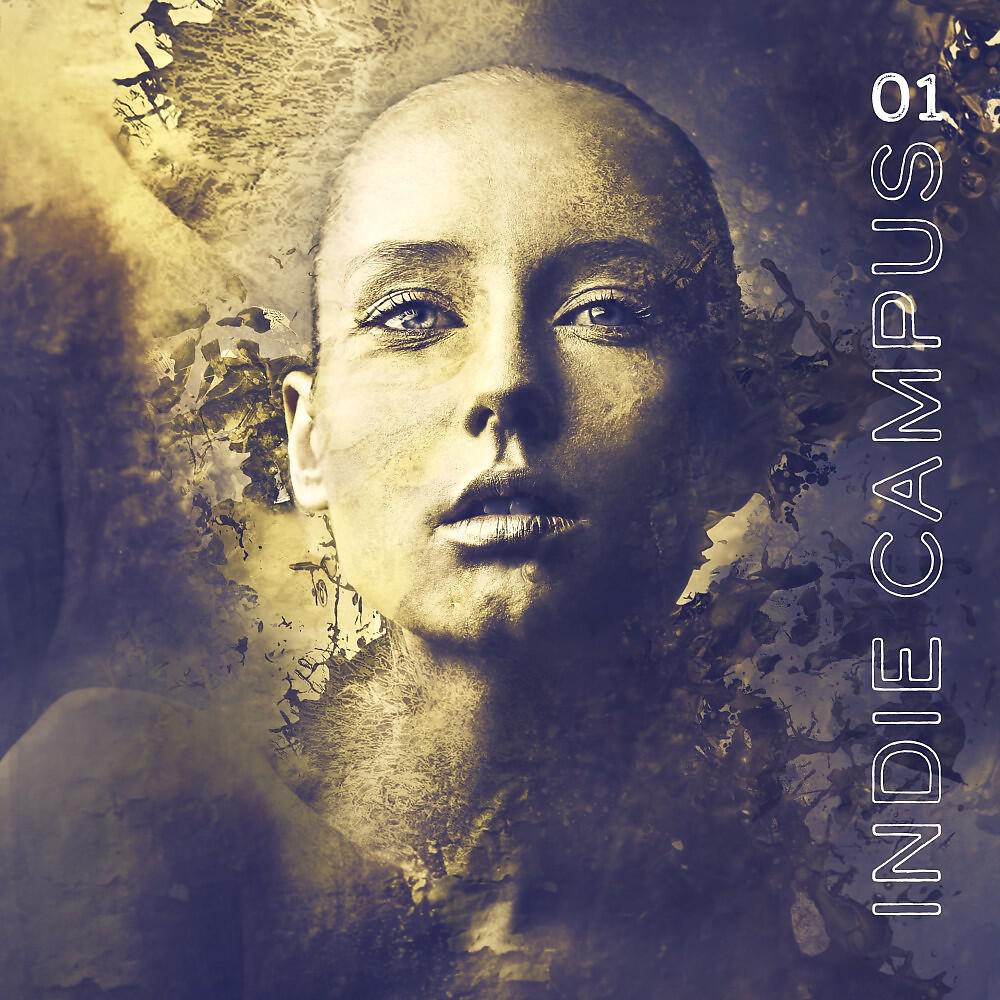Релиз Indie Campus, Vol. 1