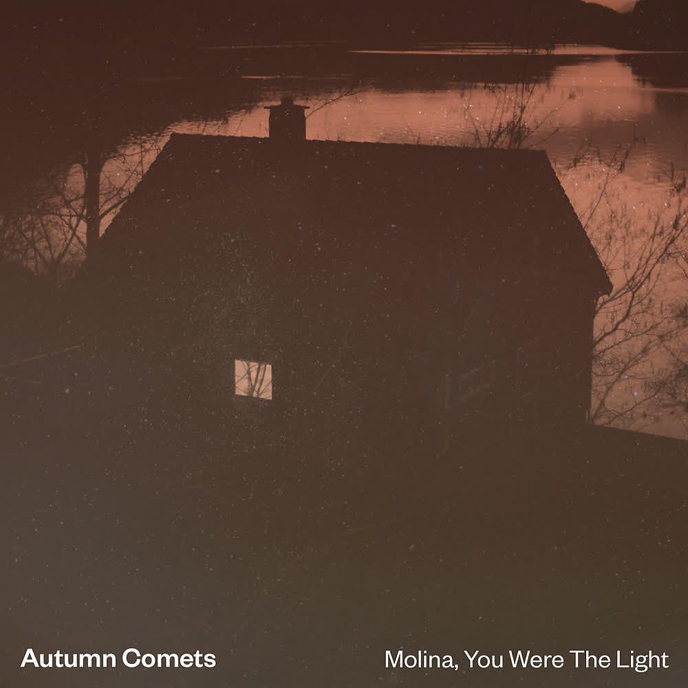 Релиз Molina, You Were the Light