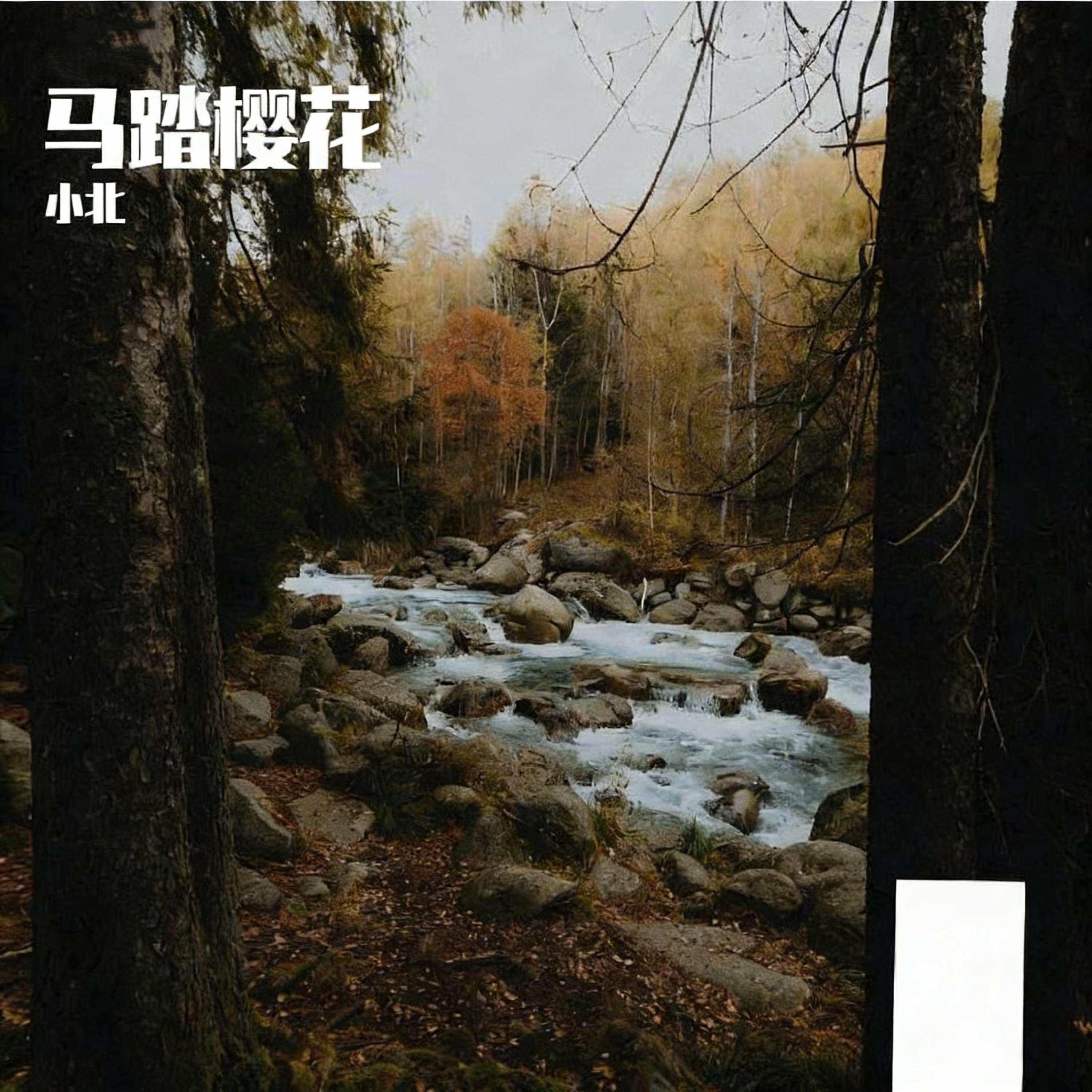 Релиз 马踏樱花