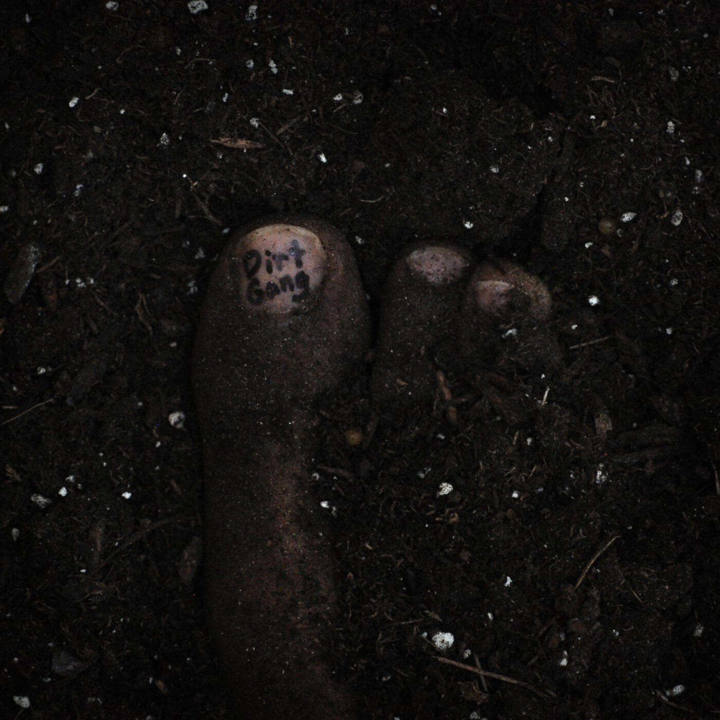 Dirt Gang