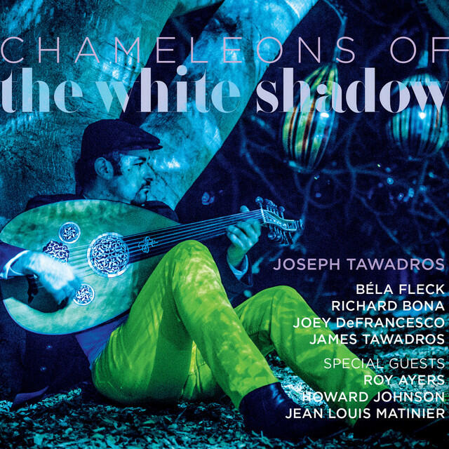 Релиз Chameleon of The White Shadow