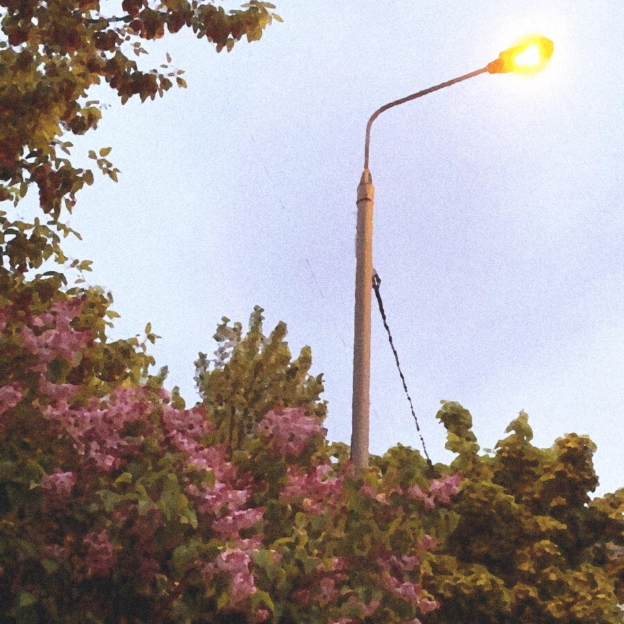 Релиз My Lost Summer