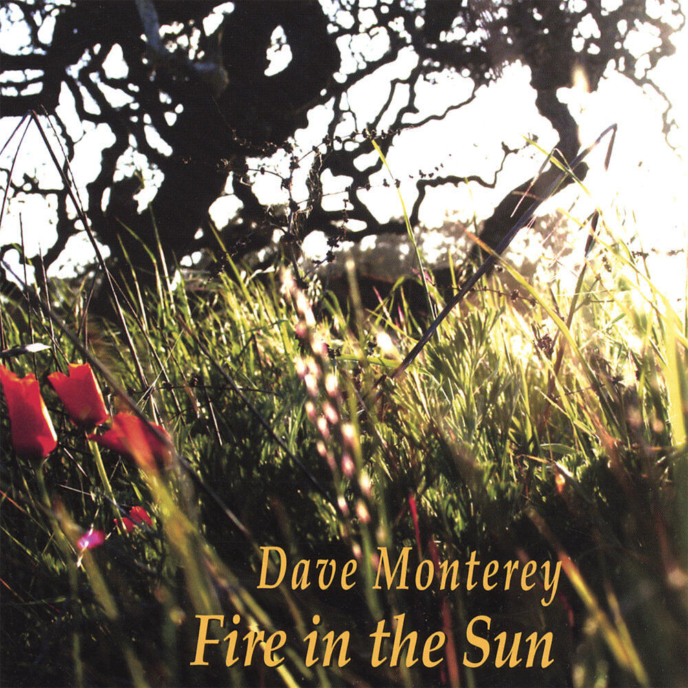 Dave Monterey