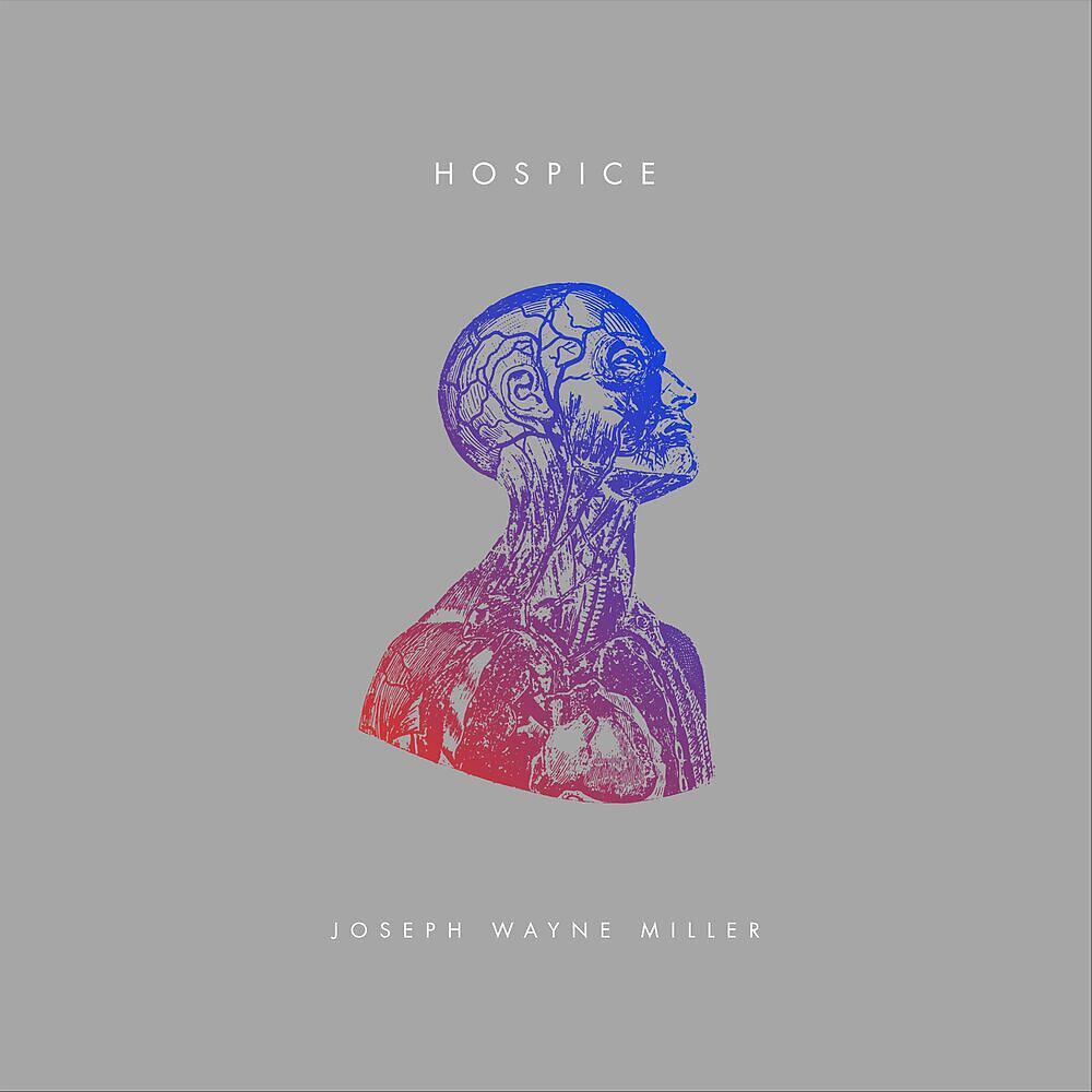 Постер альбома Hospice